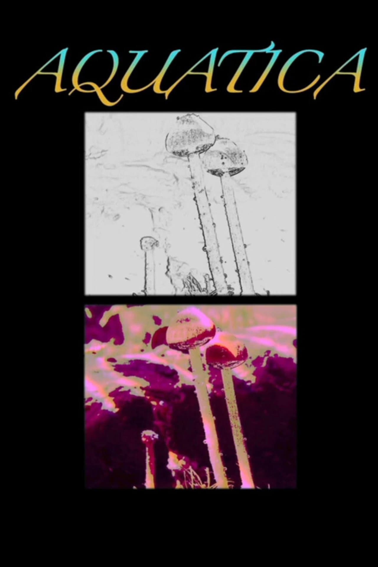Aquatica: The Underwater Mushroom preview 1