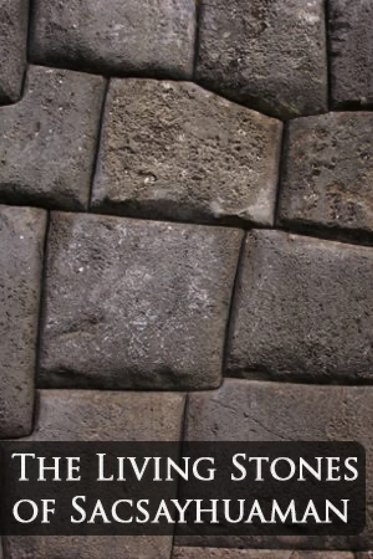 The Living Stones of Sacsayhuamán preview 2