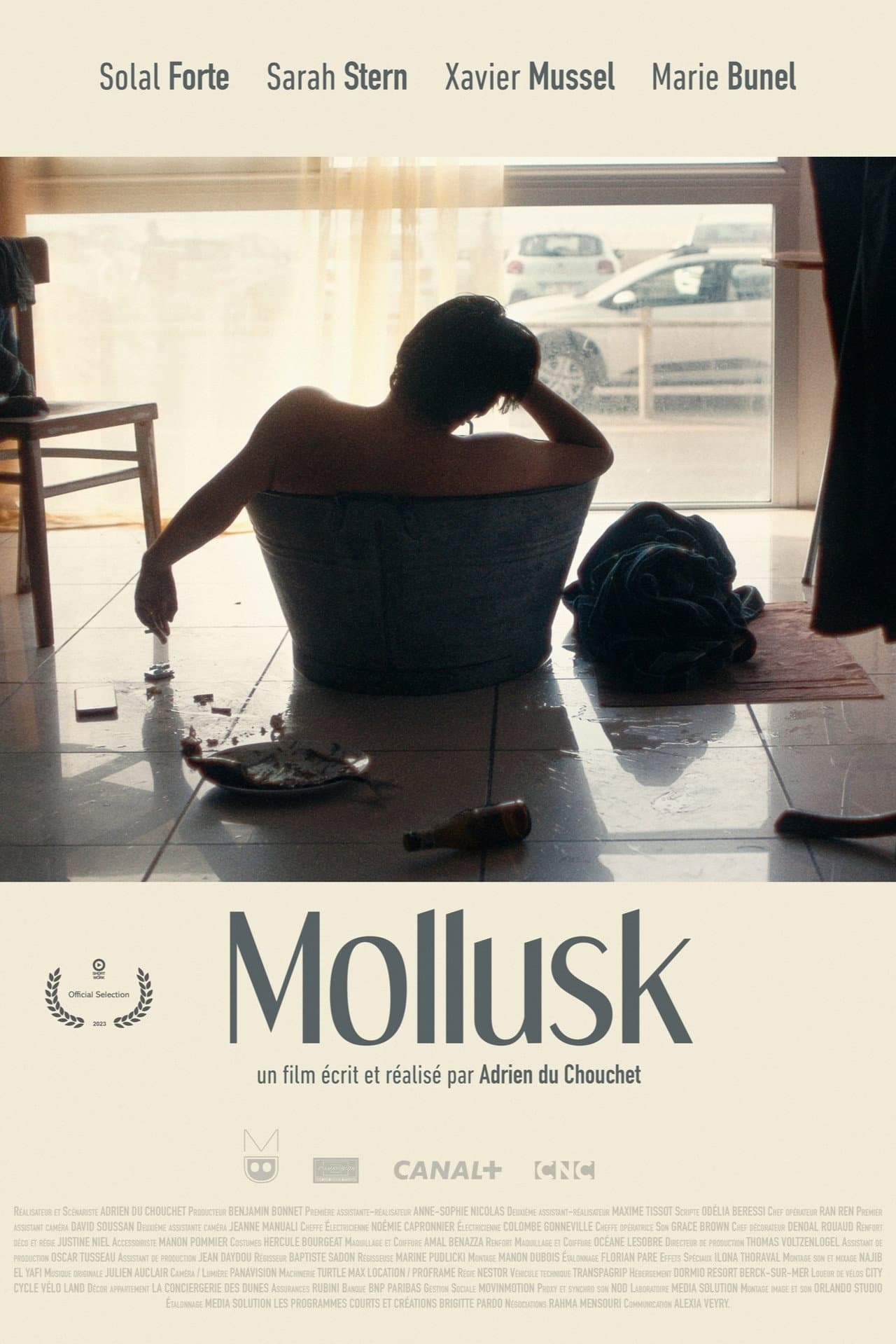Mollusk preview 1