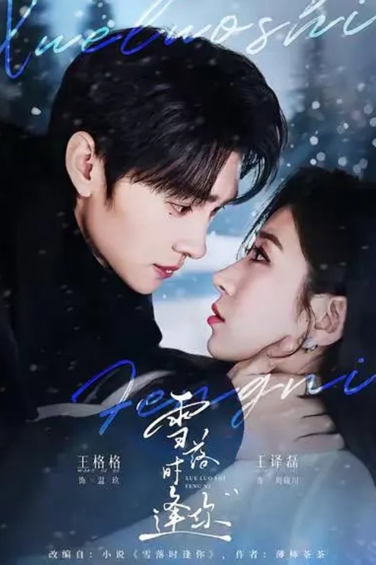 雪落时逢你 preview 1