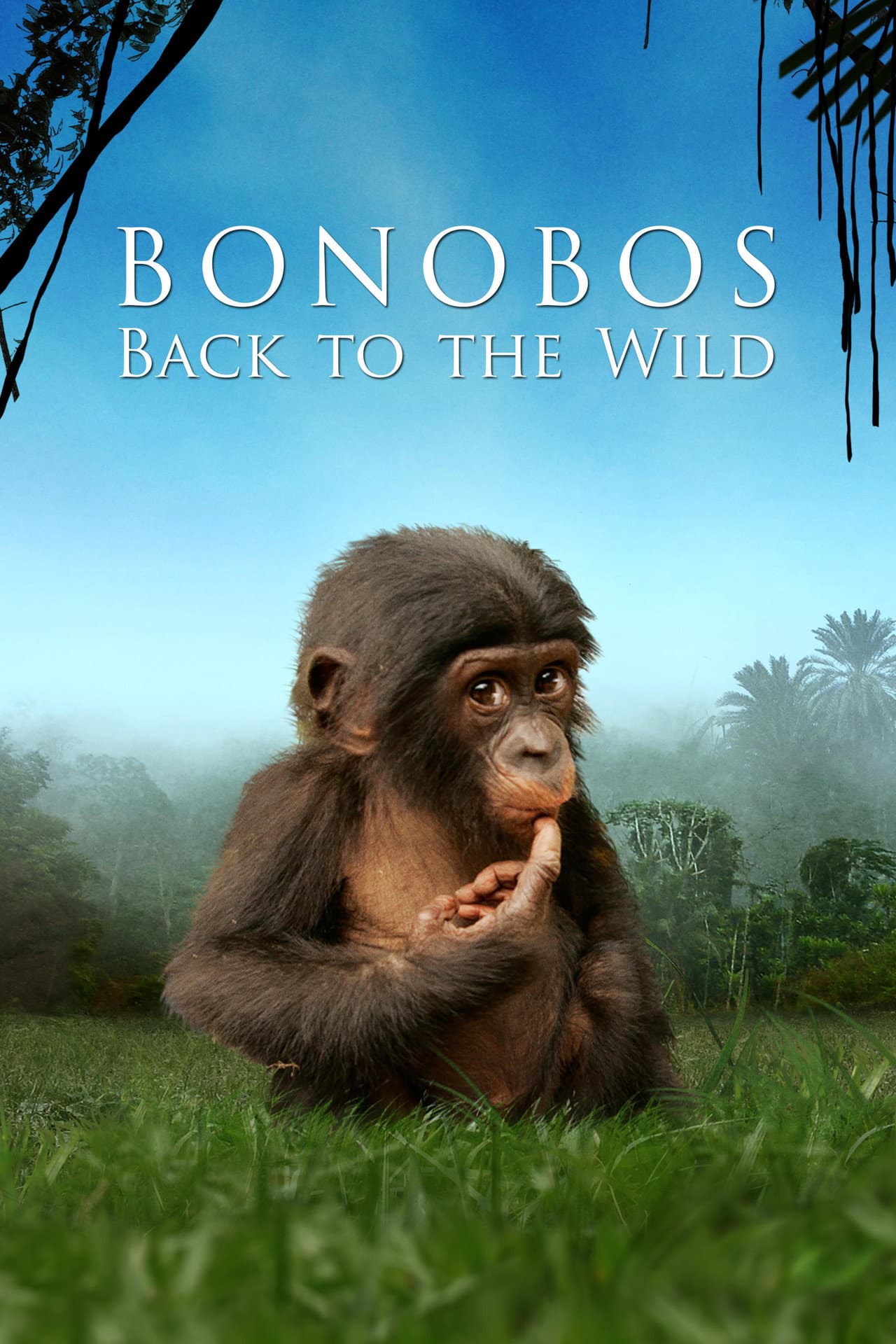 Bonobos: Back to the Wild preview 2