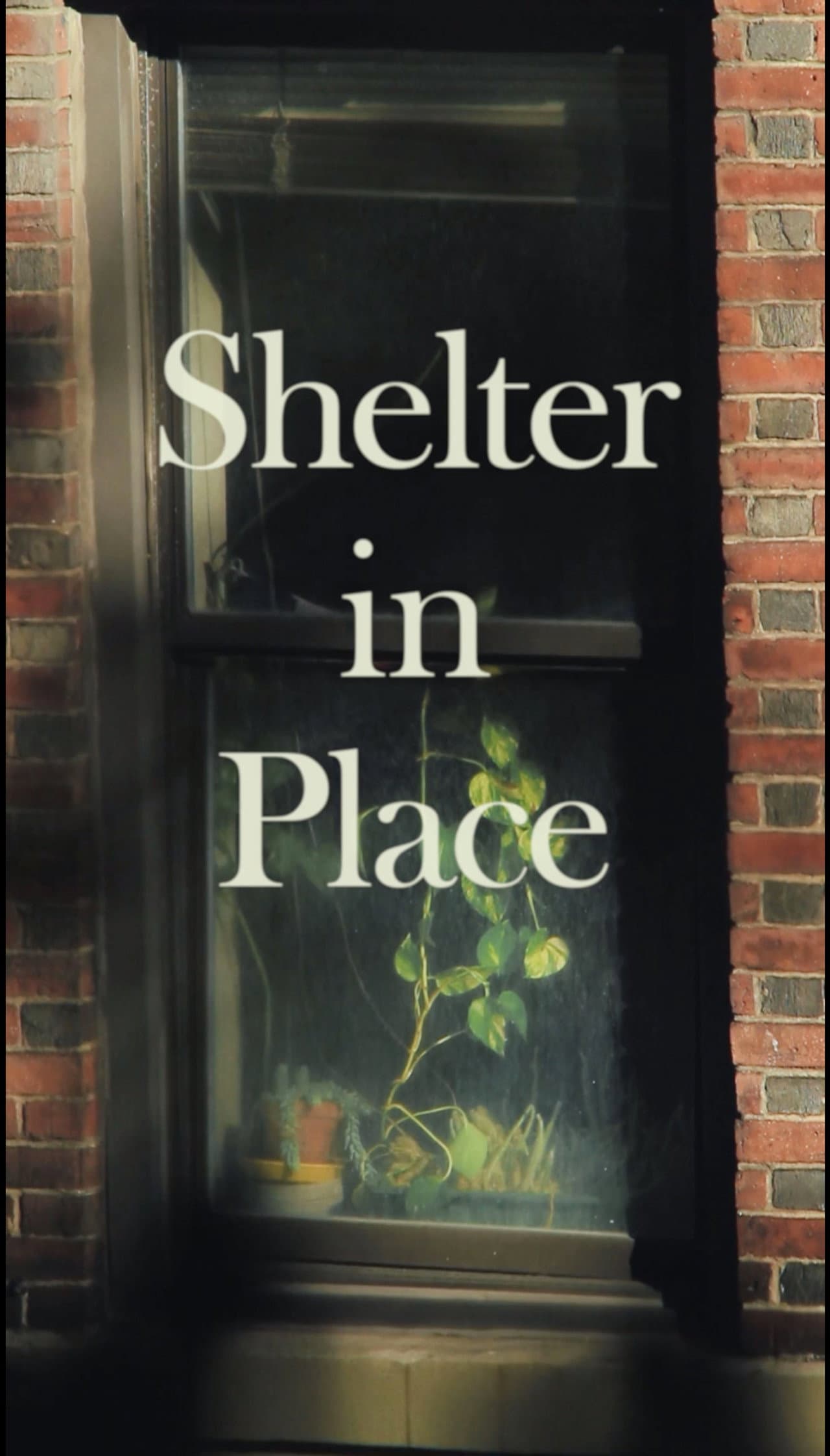 Shelter in Place preview 1