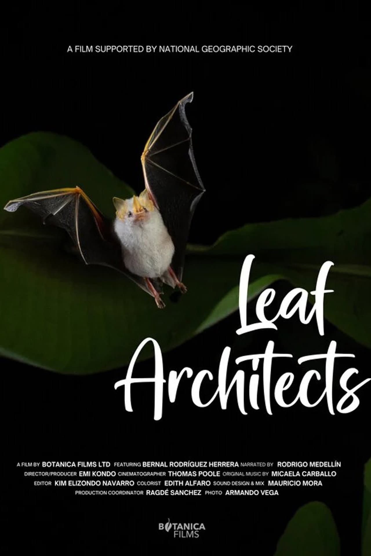 Leaf Architects preview 1