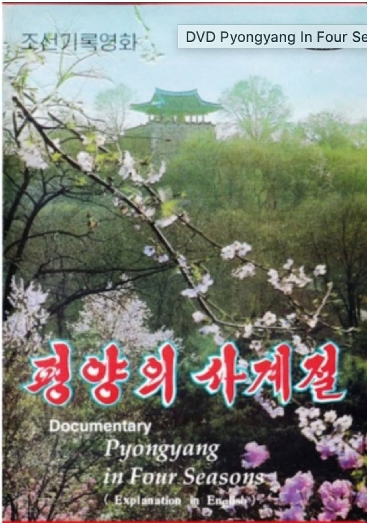 Pyongyang in Four Seasons preview 1