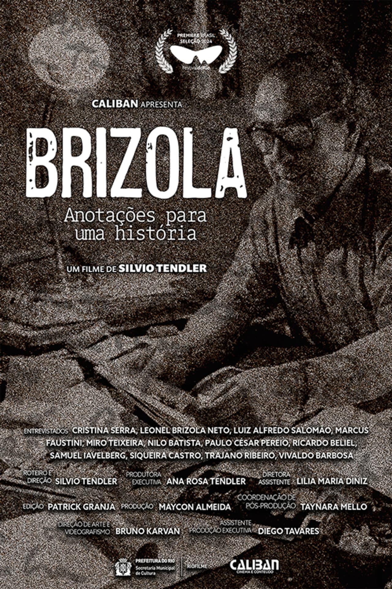 Brizola, Anotações para uma História preview 1