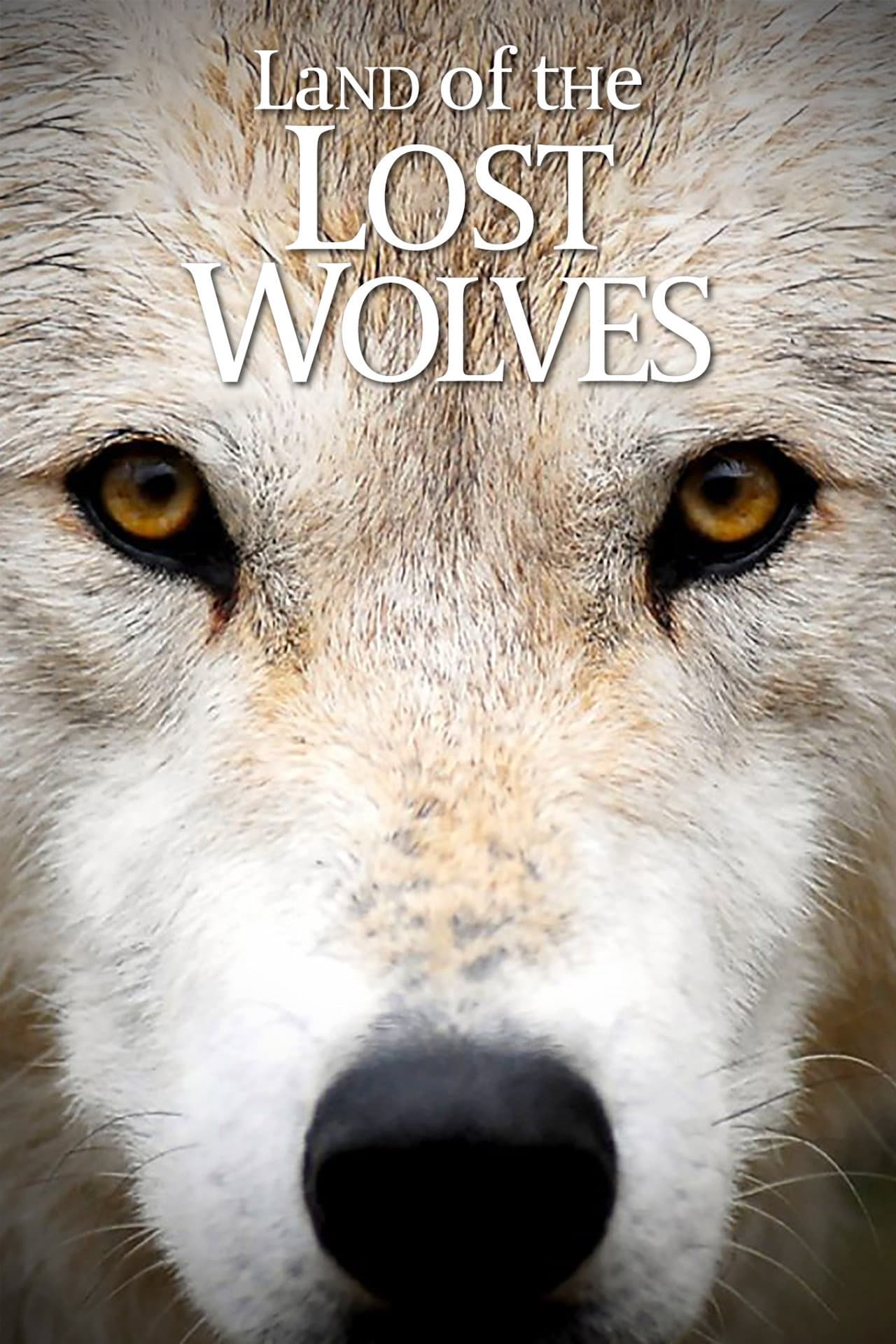 Land of the Lost Wolves preview 2