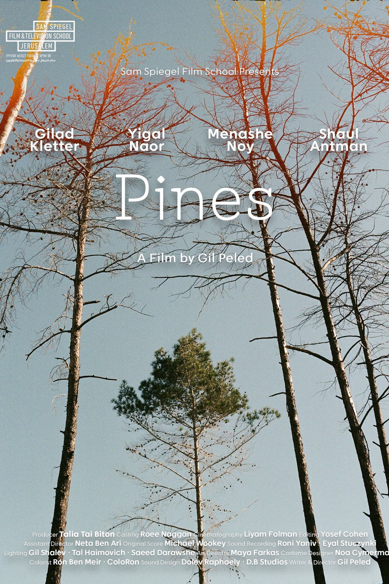 Pines preview 2
