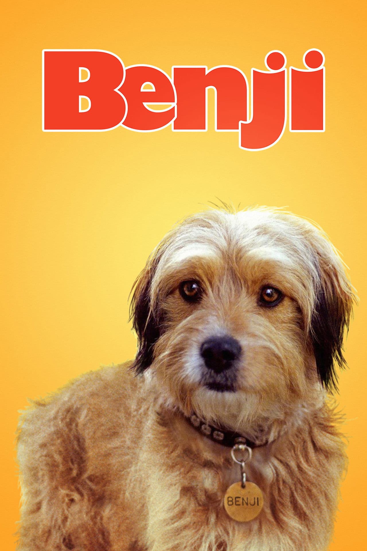 Benji preview 2