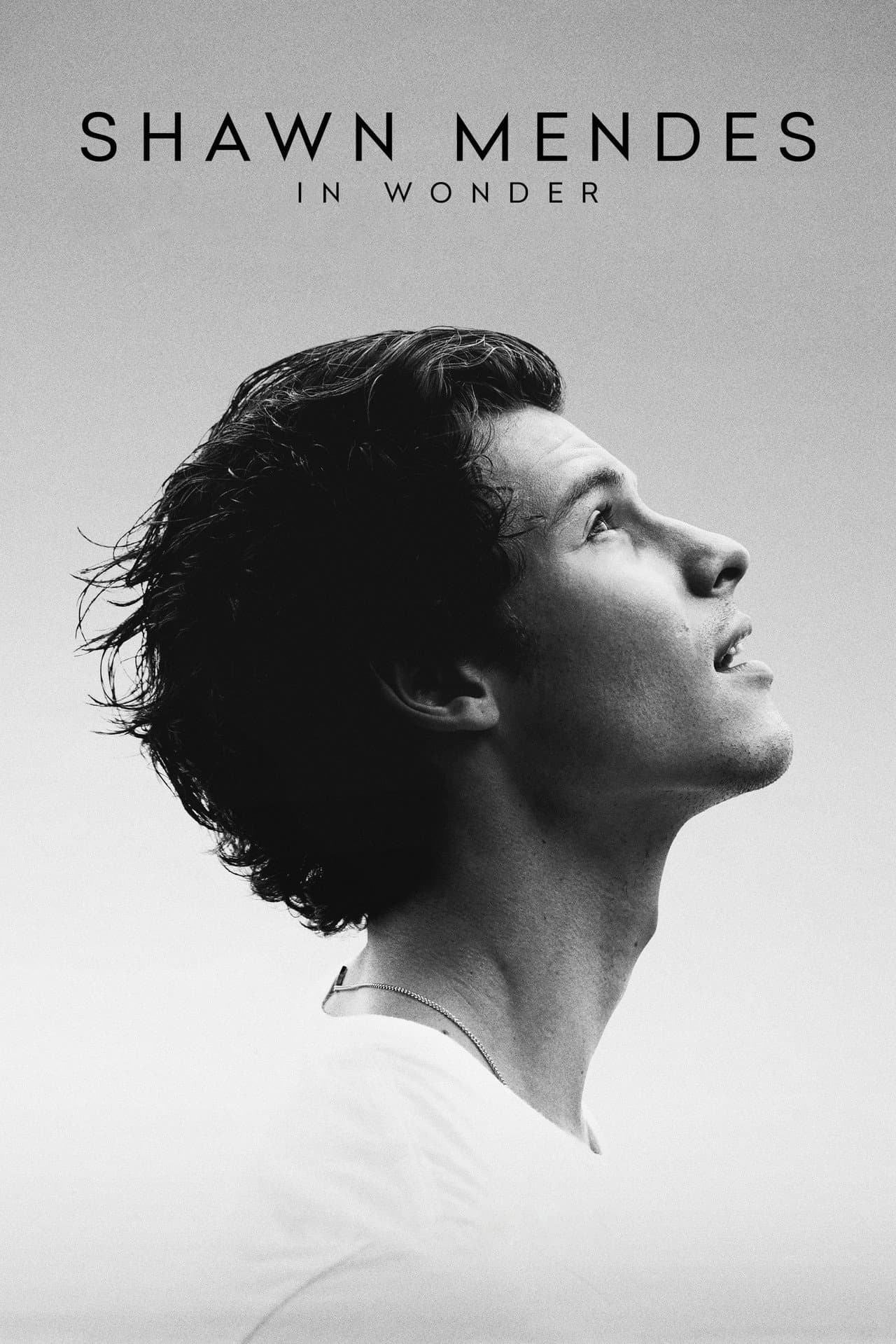 Shawn Mendes: In Wonder preview 2