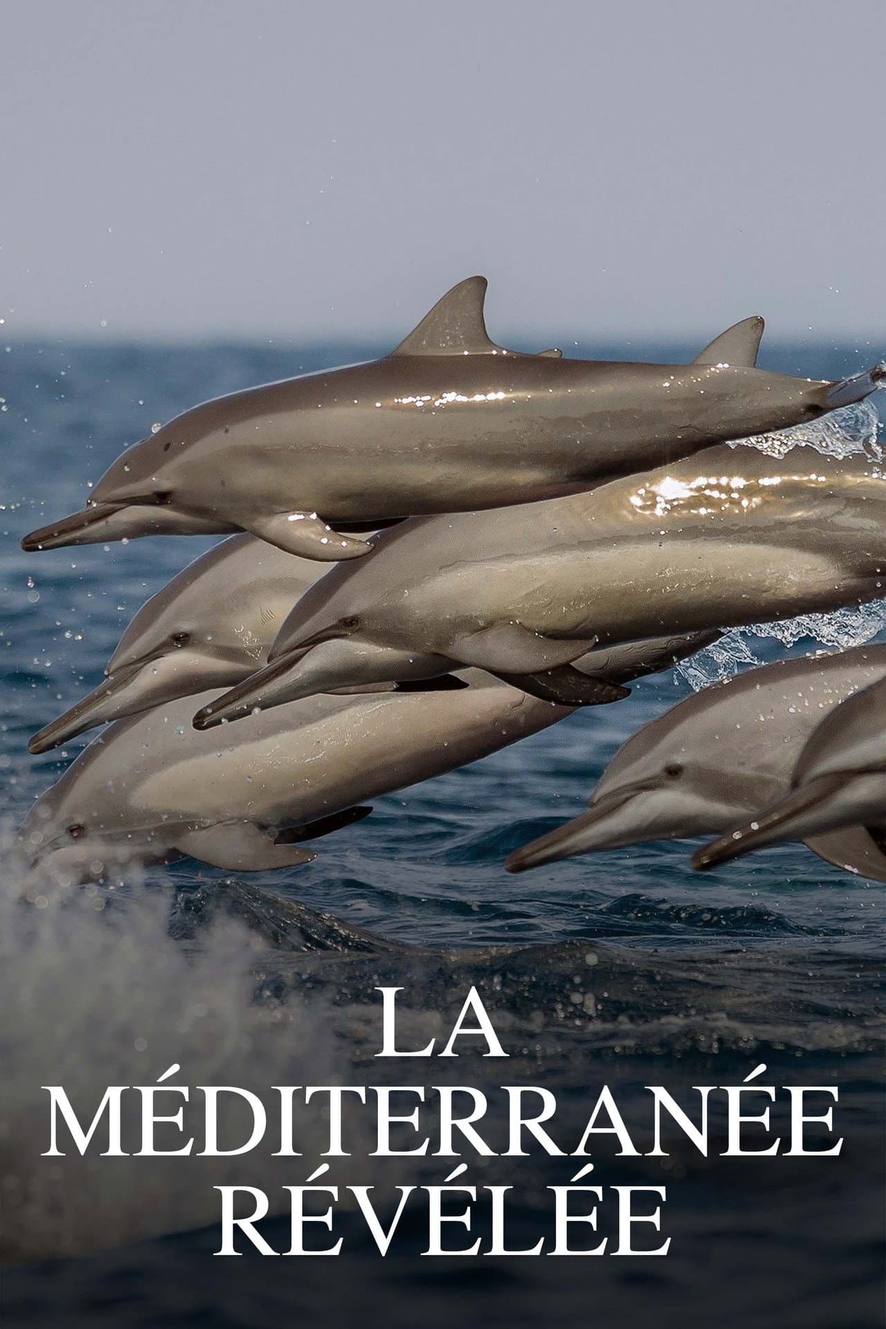 La Méditerranée révélée preview 2
