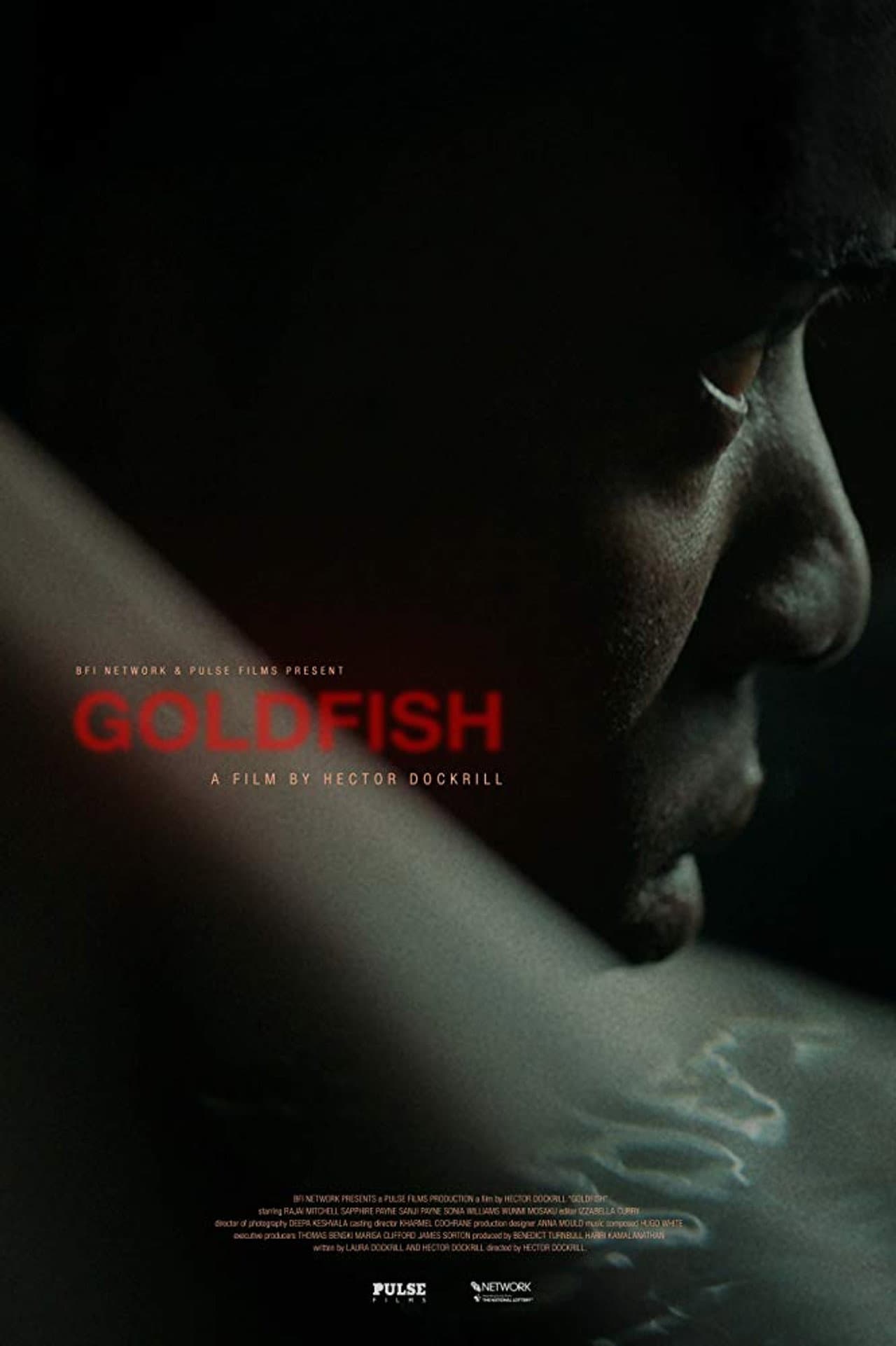 Goldfish preview 1