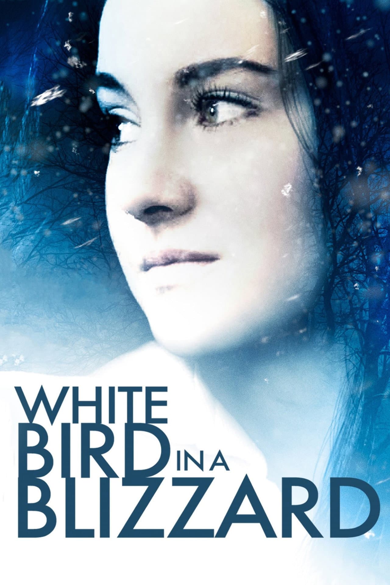 White Bird in a Blizzard preview 2