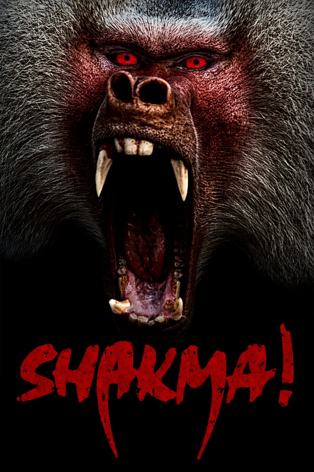 Shakma preview 2