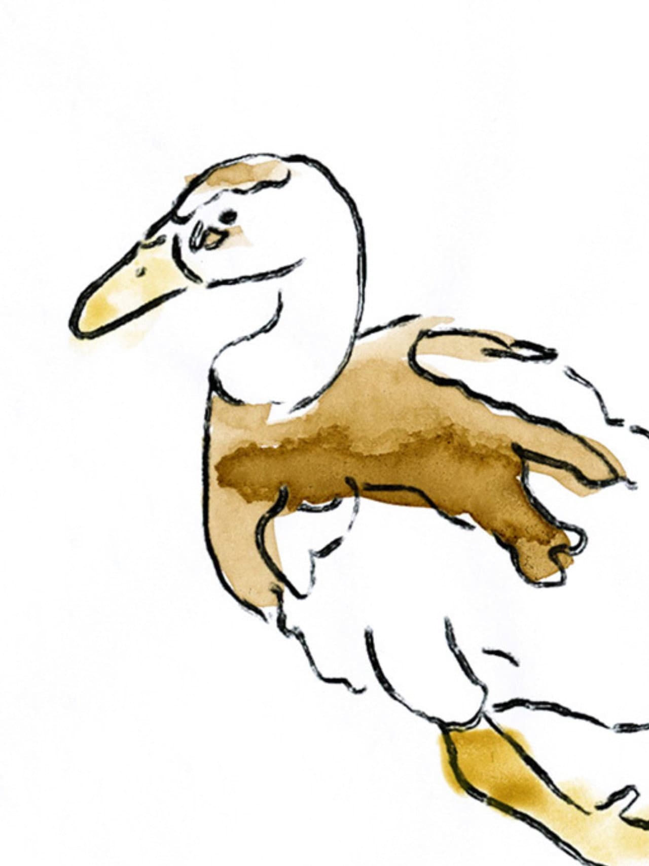 Sosuke the Duck preview 1