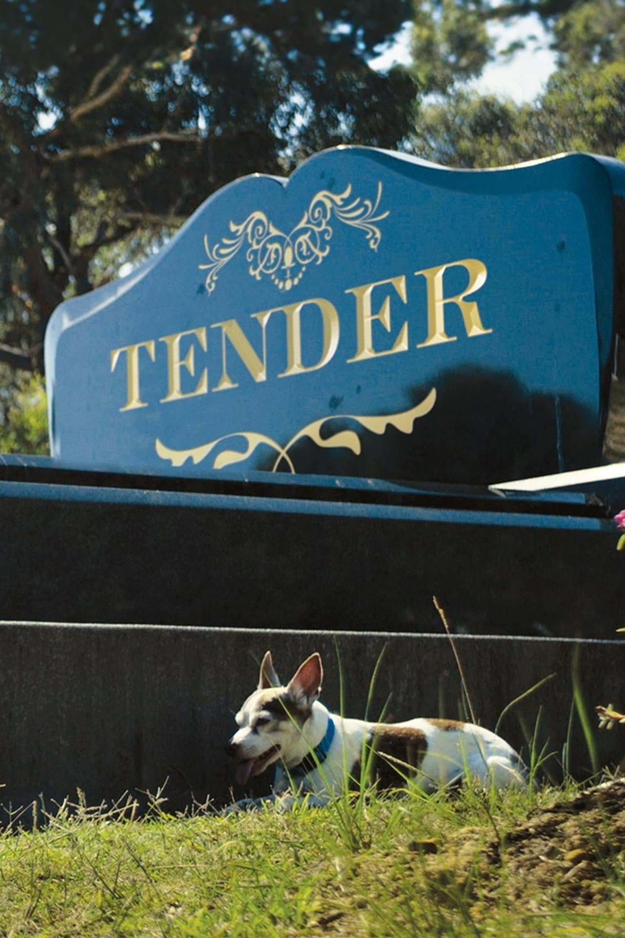 Tender preview 1