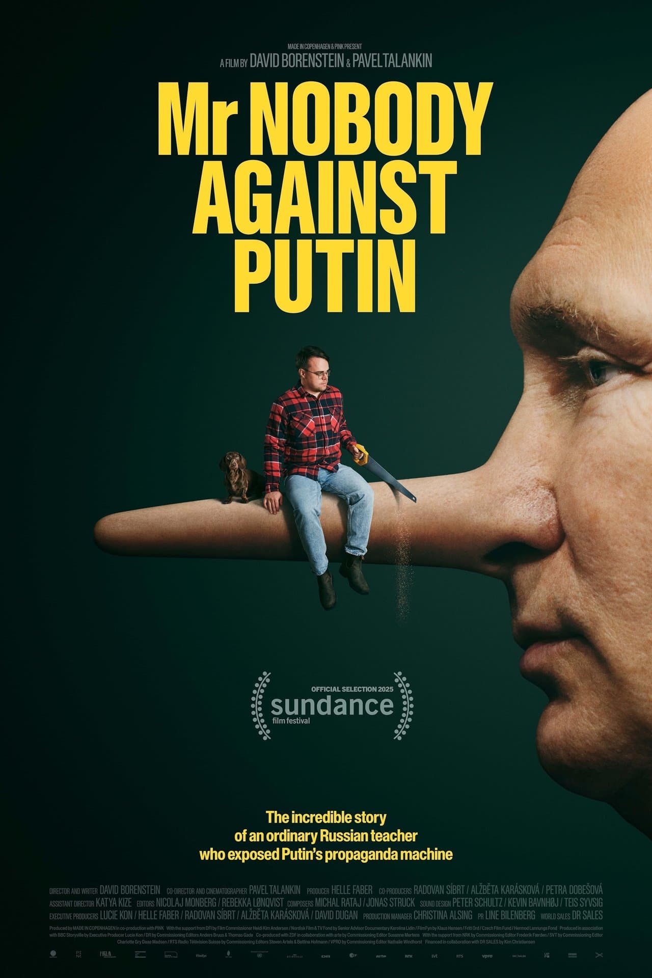 Mr. Nobody Against Putin preview 2