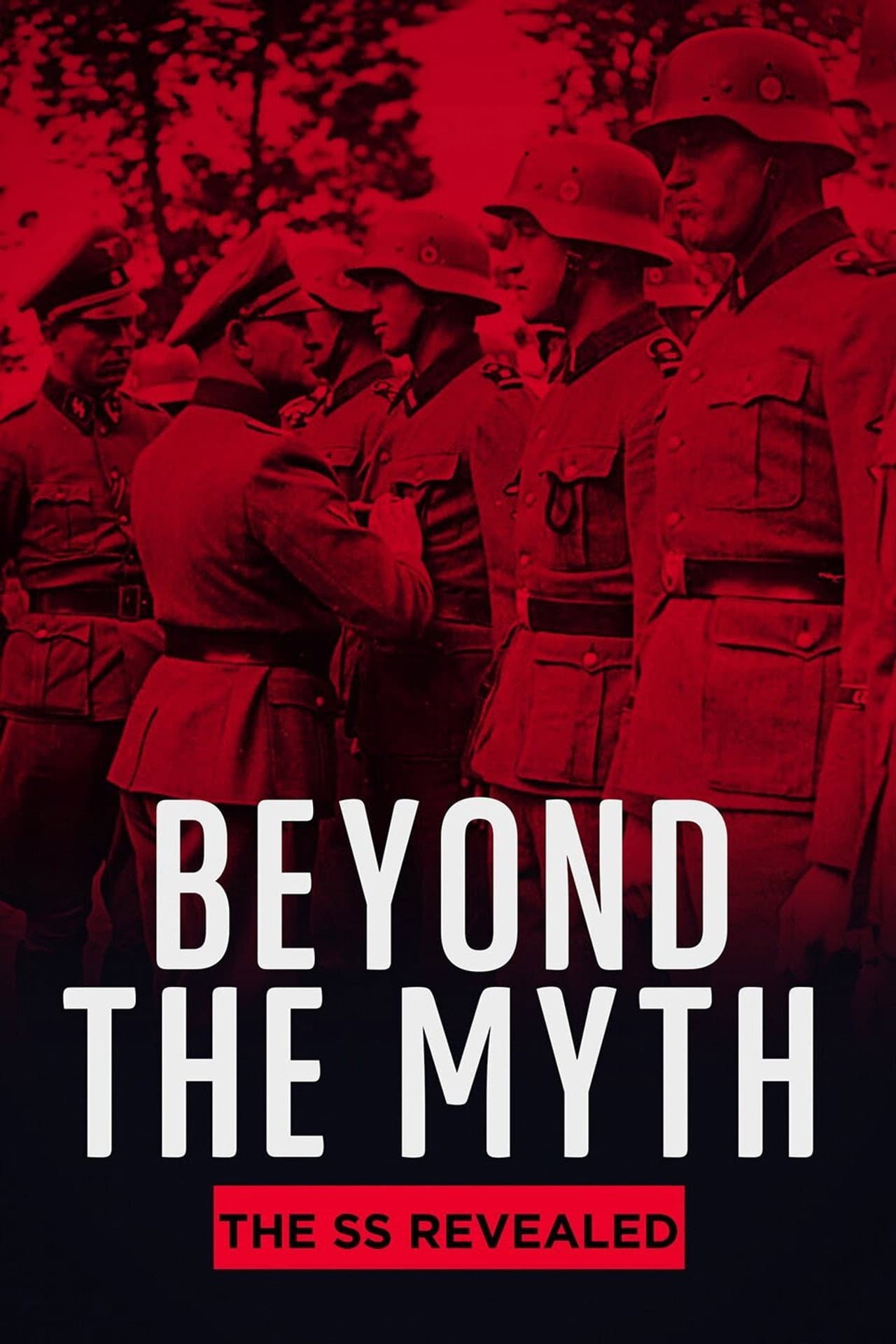 Beyond the Myth: The SS Unveiled preview 2