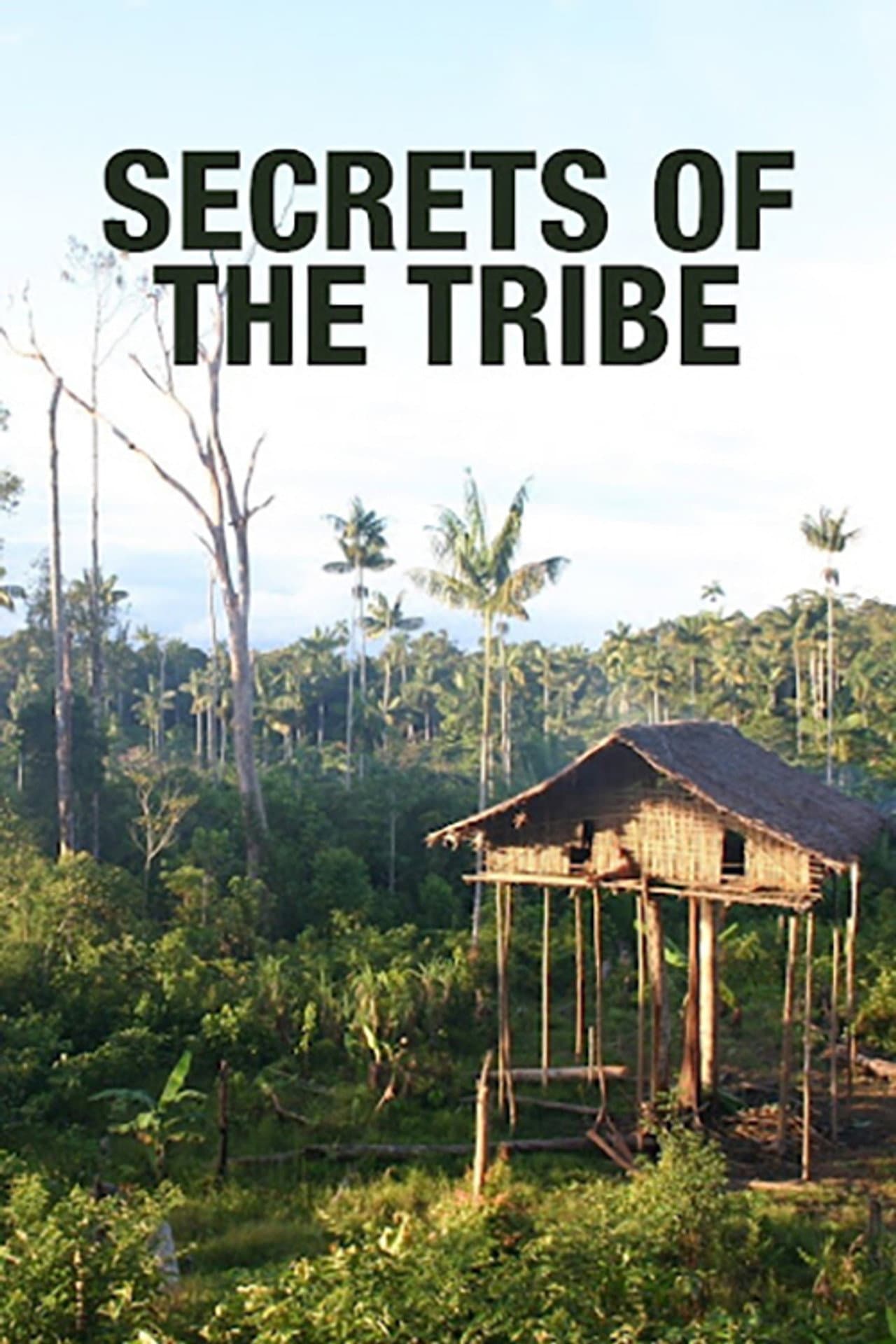 Secrets of the Tribe preview 1