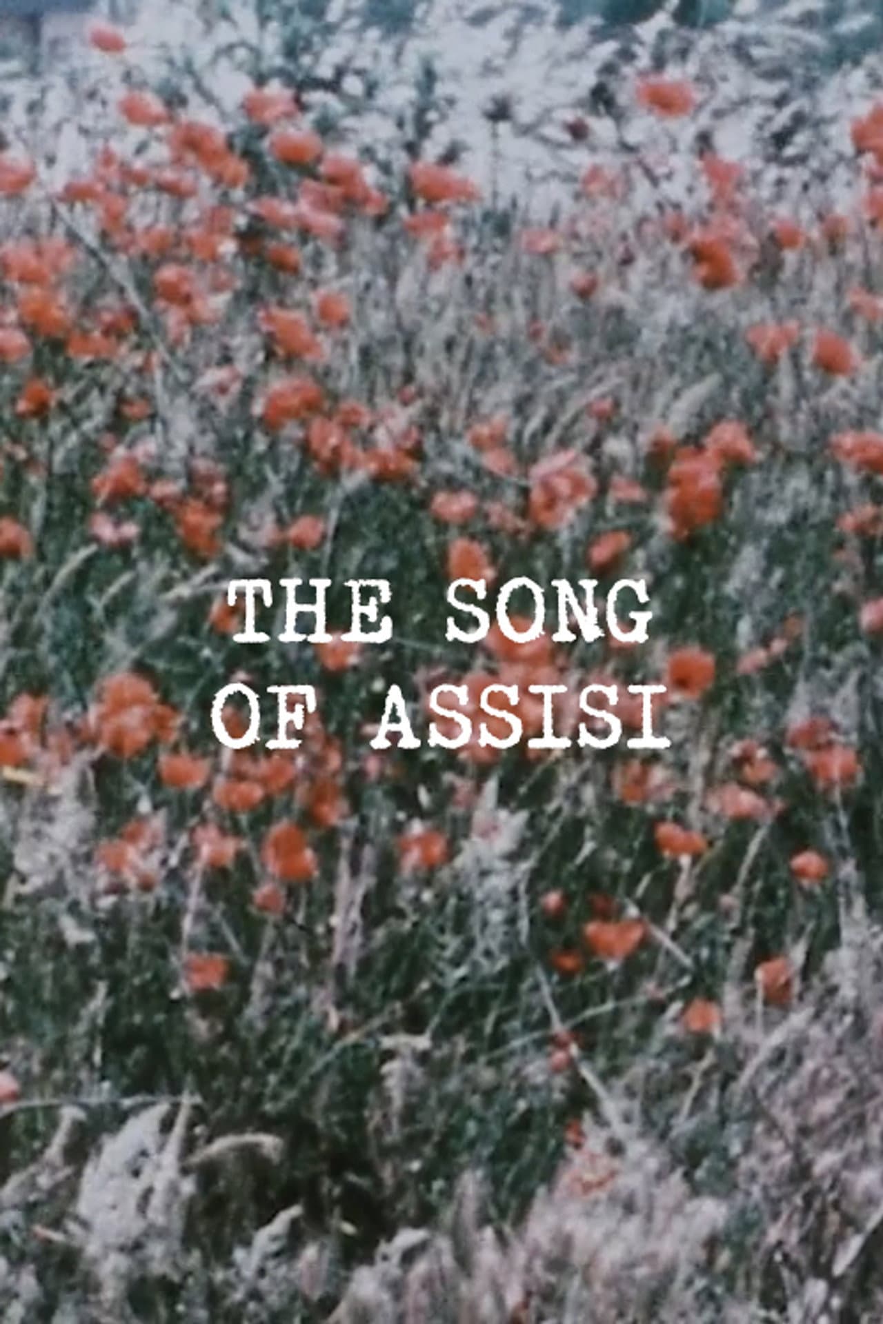 The Song of Assisi preview 1
