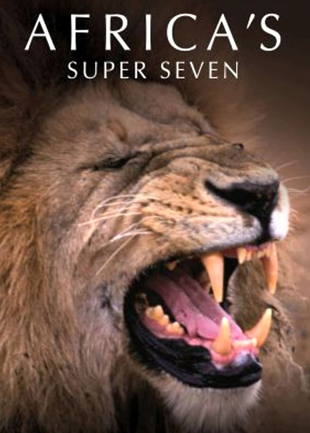 Africa's Super Seven preview 2
