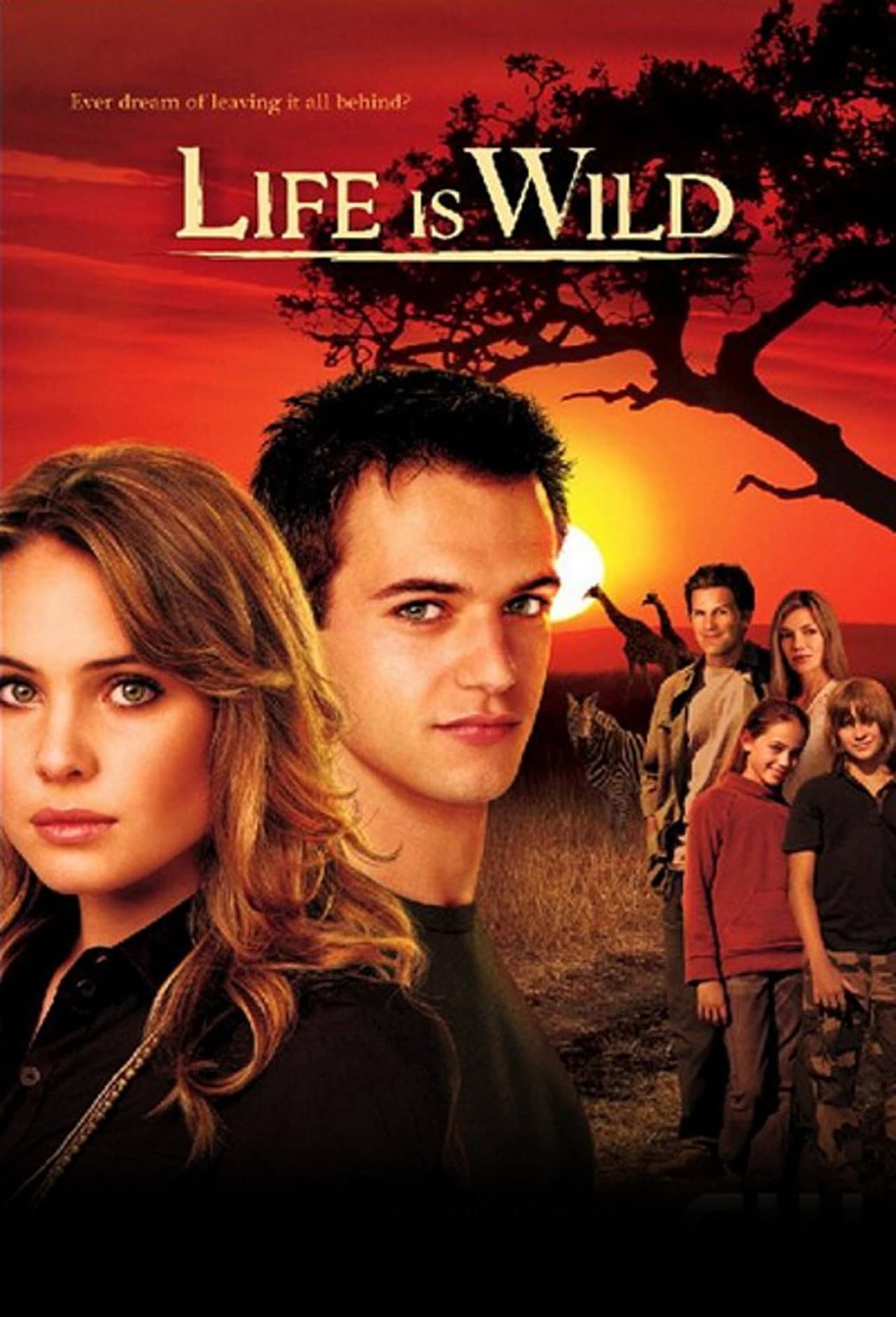 Life Is Wild preview 2