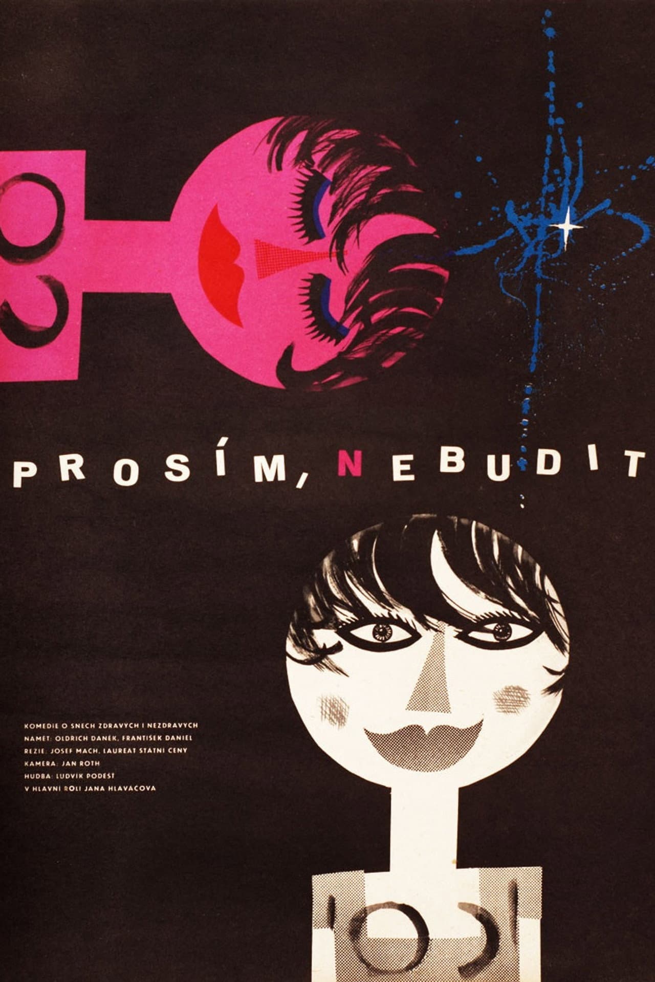 Prosím, nebudit preview 1