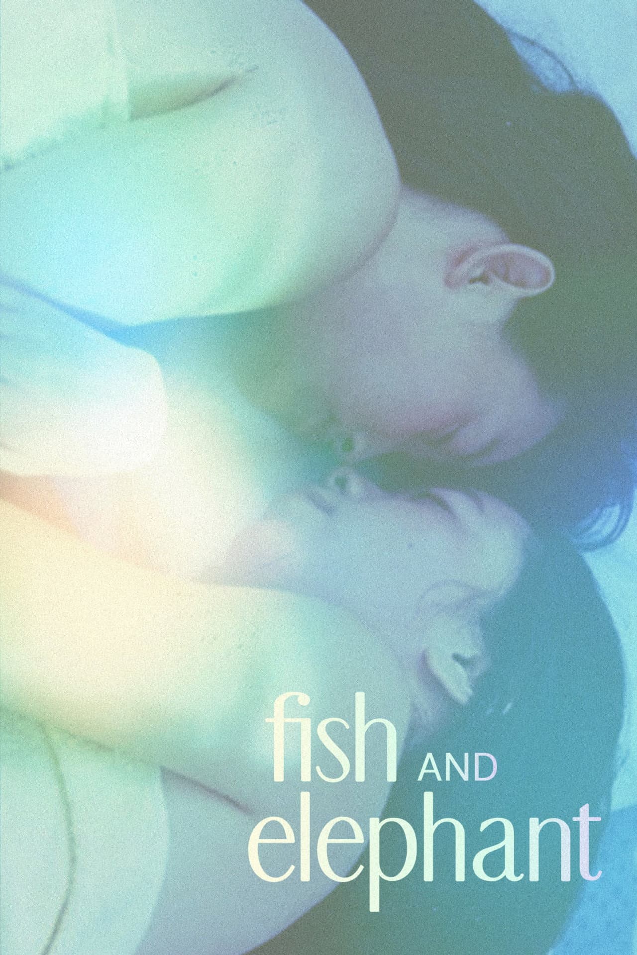 Fish and Elephant preview 2