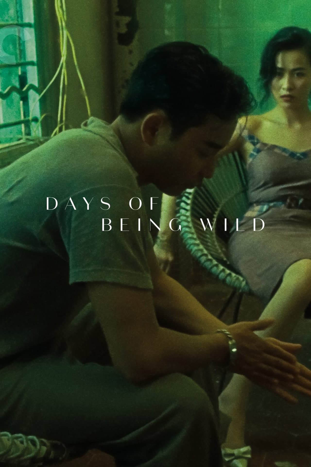Days of Being Wild preview 2