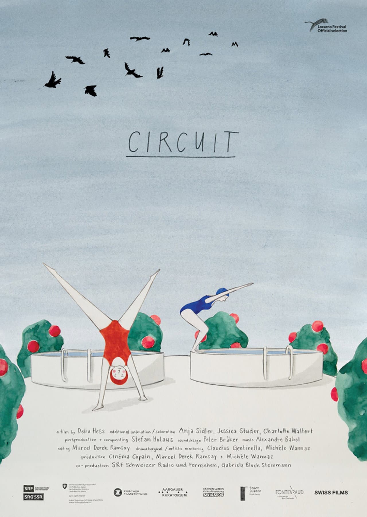 Circuit preview 2