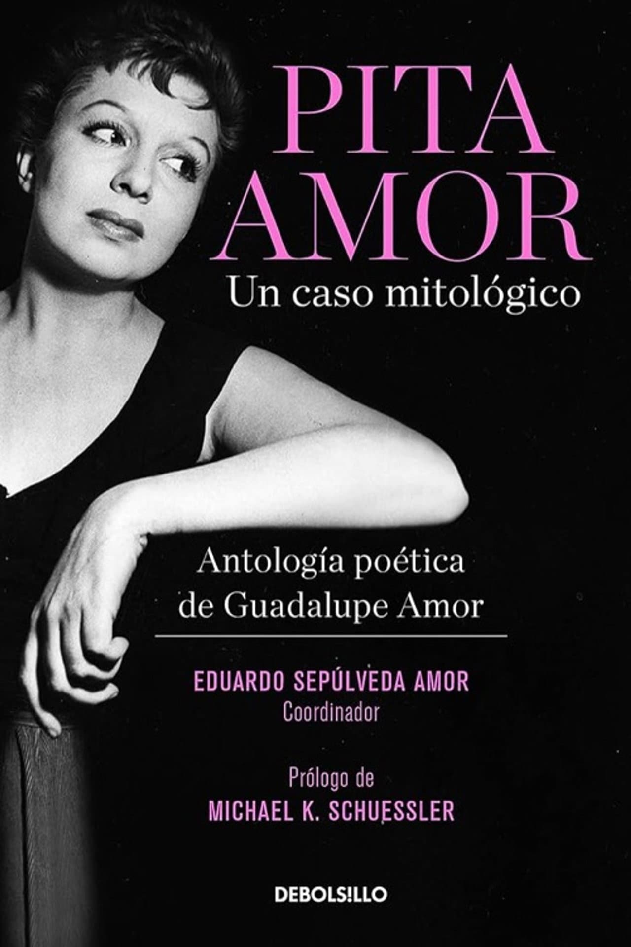 Guadalupe Amor, un ensayo  mitológico preview 1