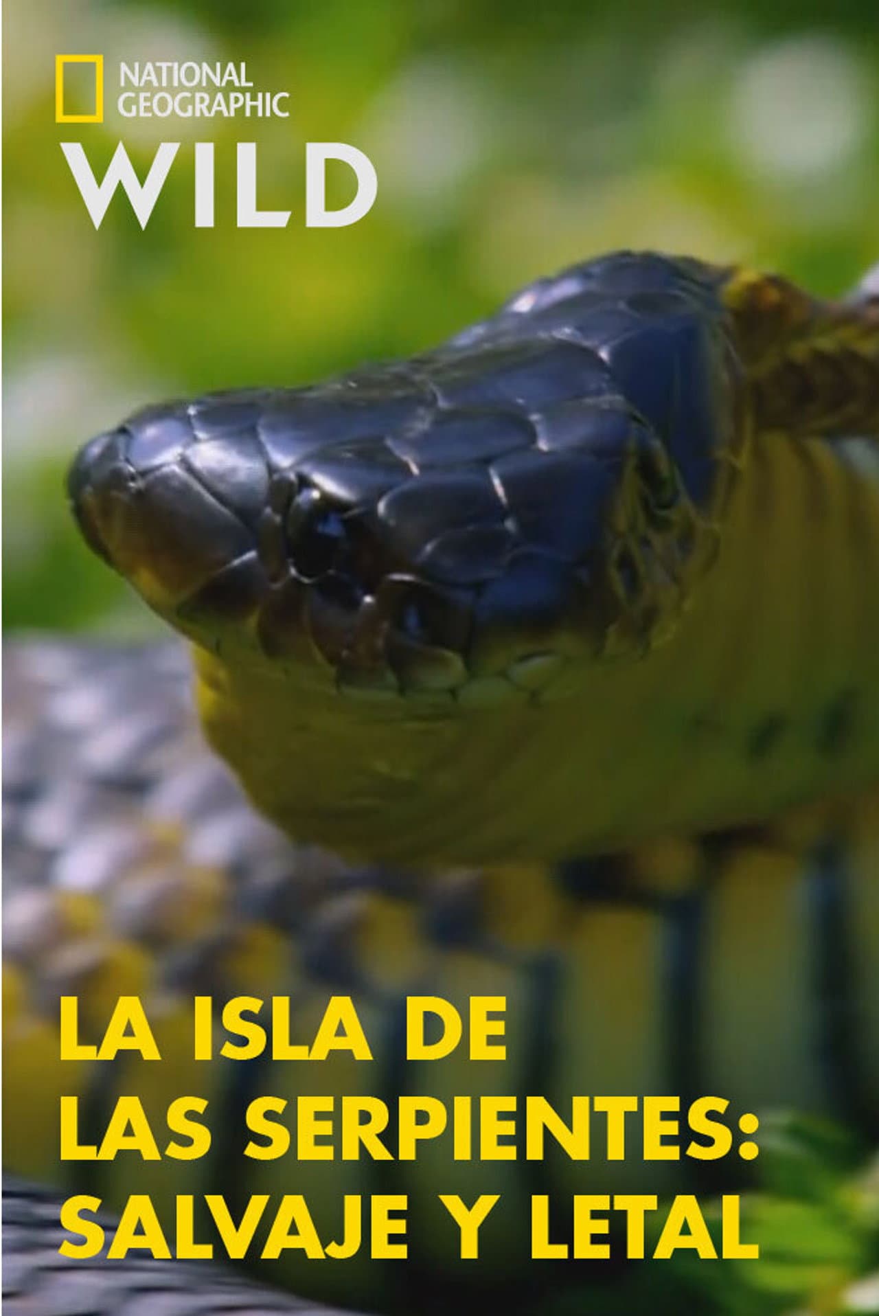 Snake Island: Wild & Deadly preview 2