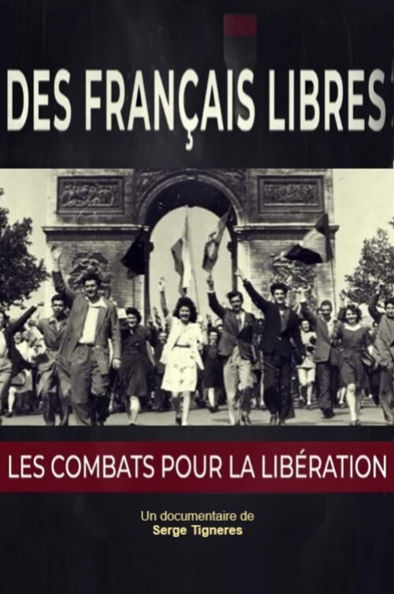 Des Français libres, les combats pour la libération preview 2