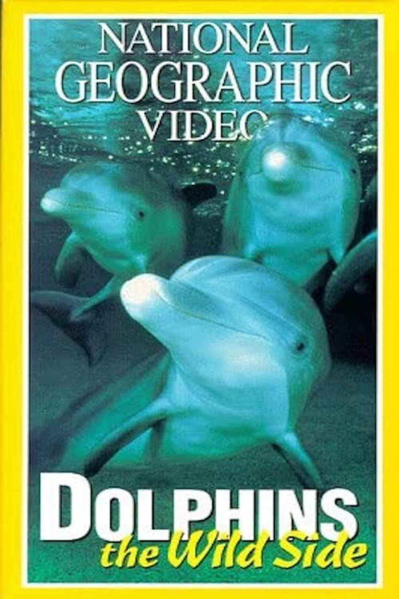 Dolphins: The Wild Side preview 2