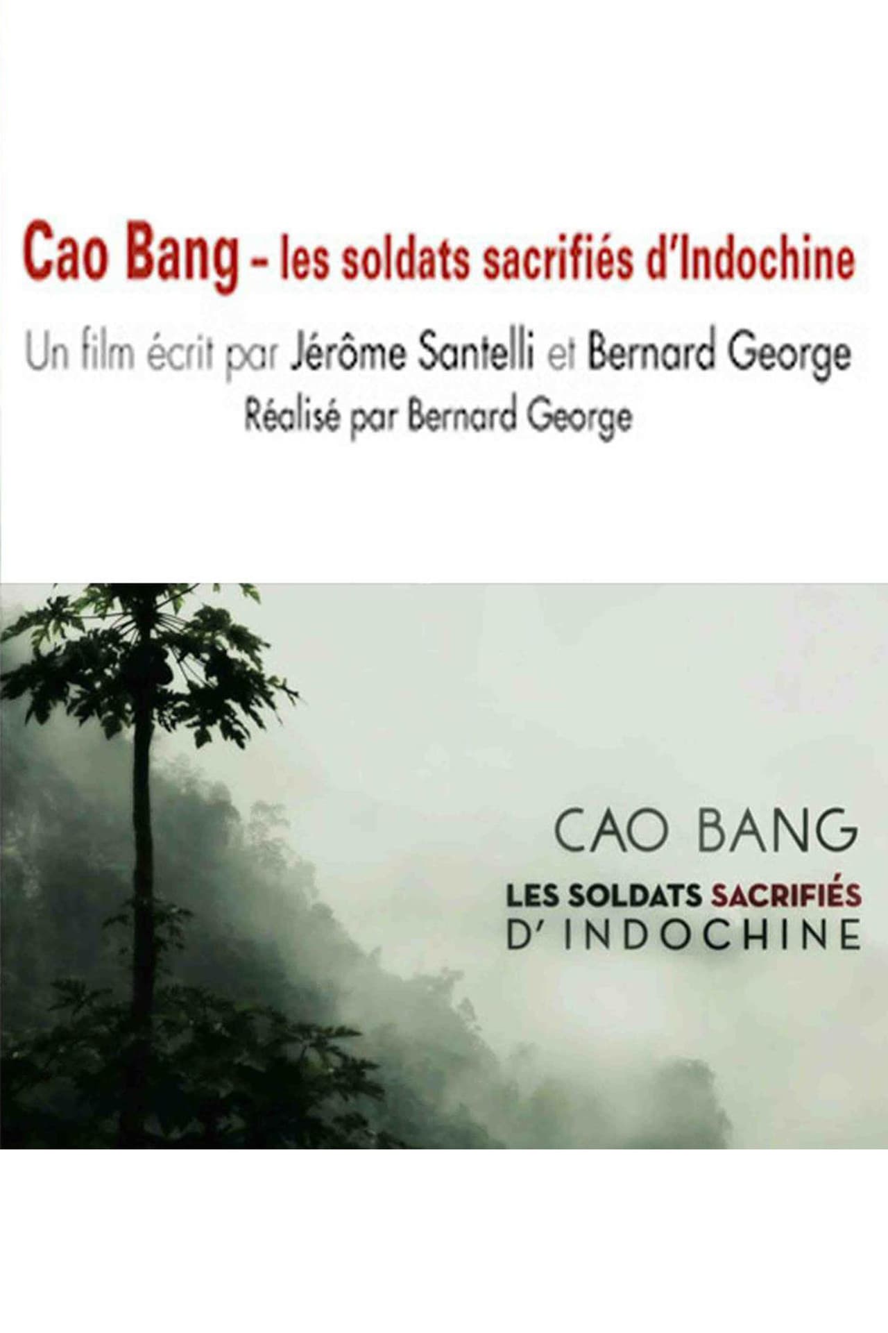 Cao Bang, les soldats sacrifiés d'Indochine preview 1