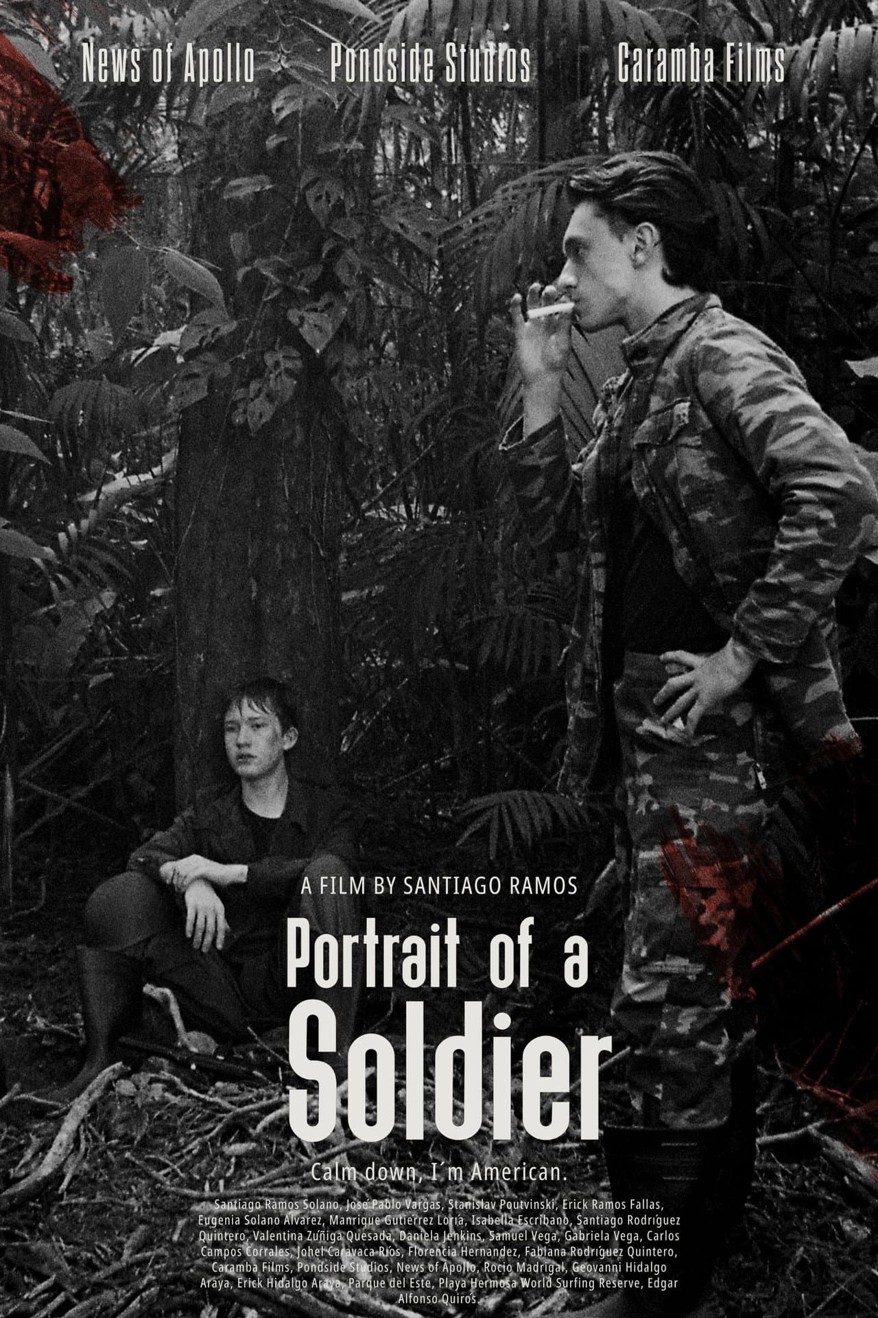 Portrait of a Soldier preview 2