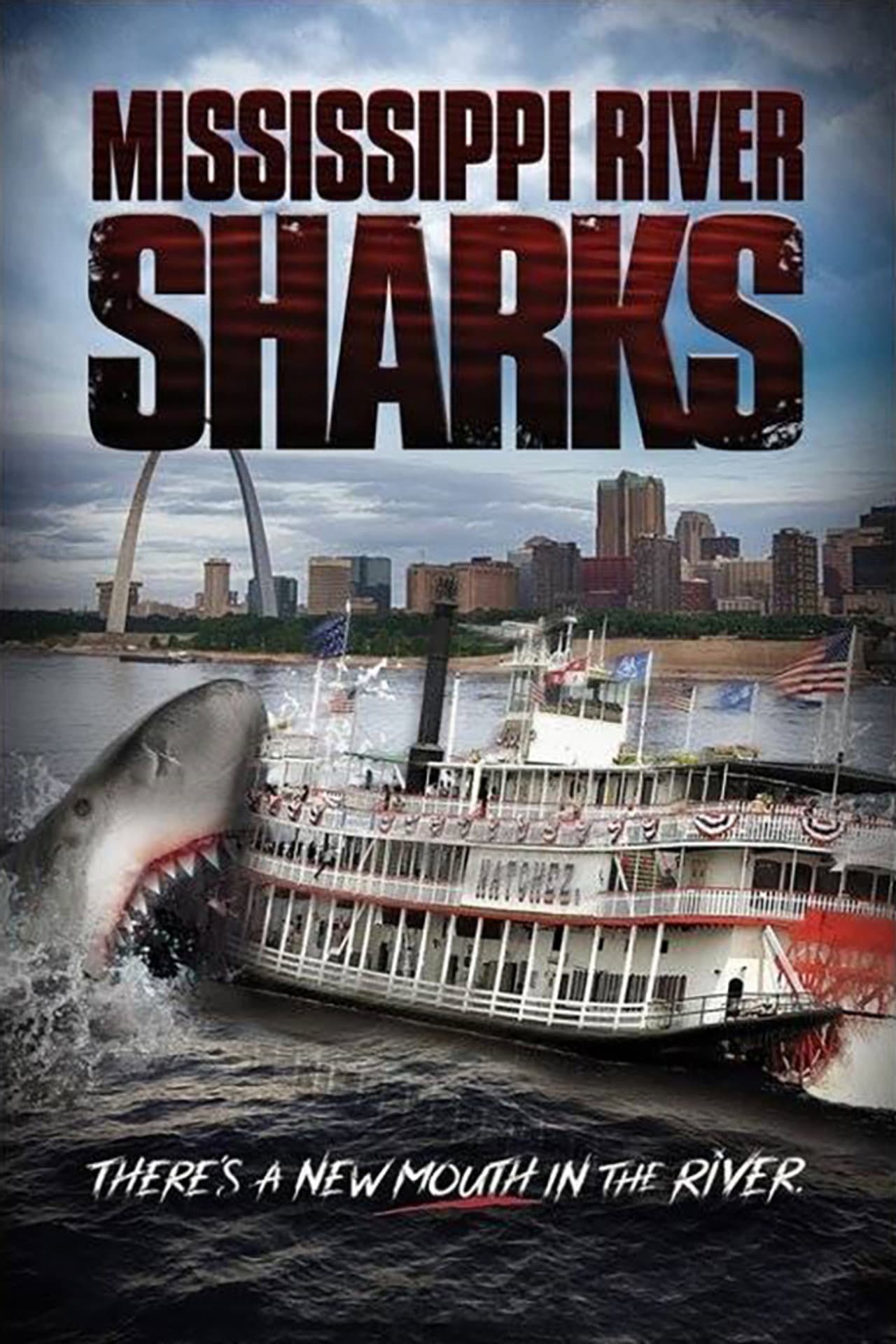 Mississippi River Sharks preview 2