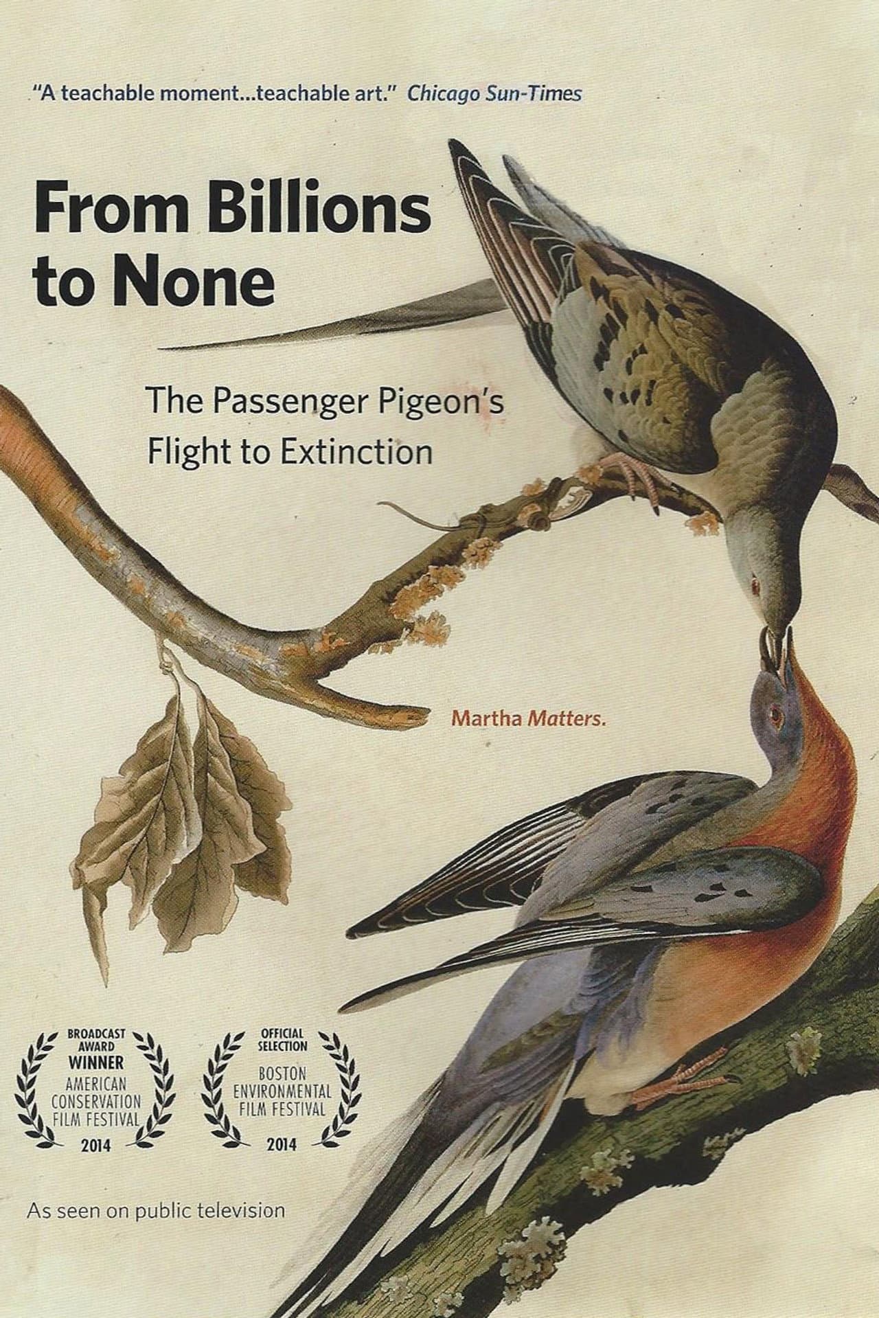 From Billions to None: The Passenger Pigeon's Flight to Extinction preview 2