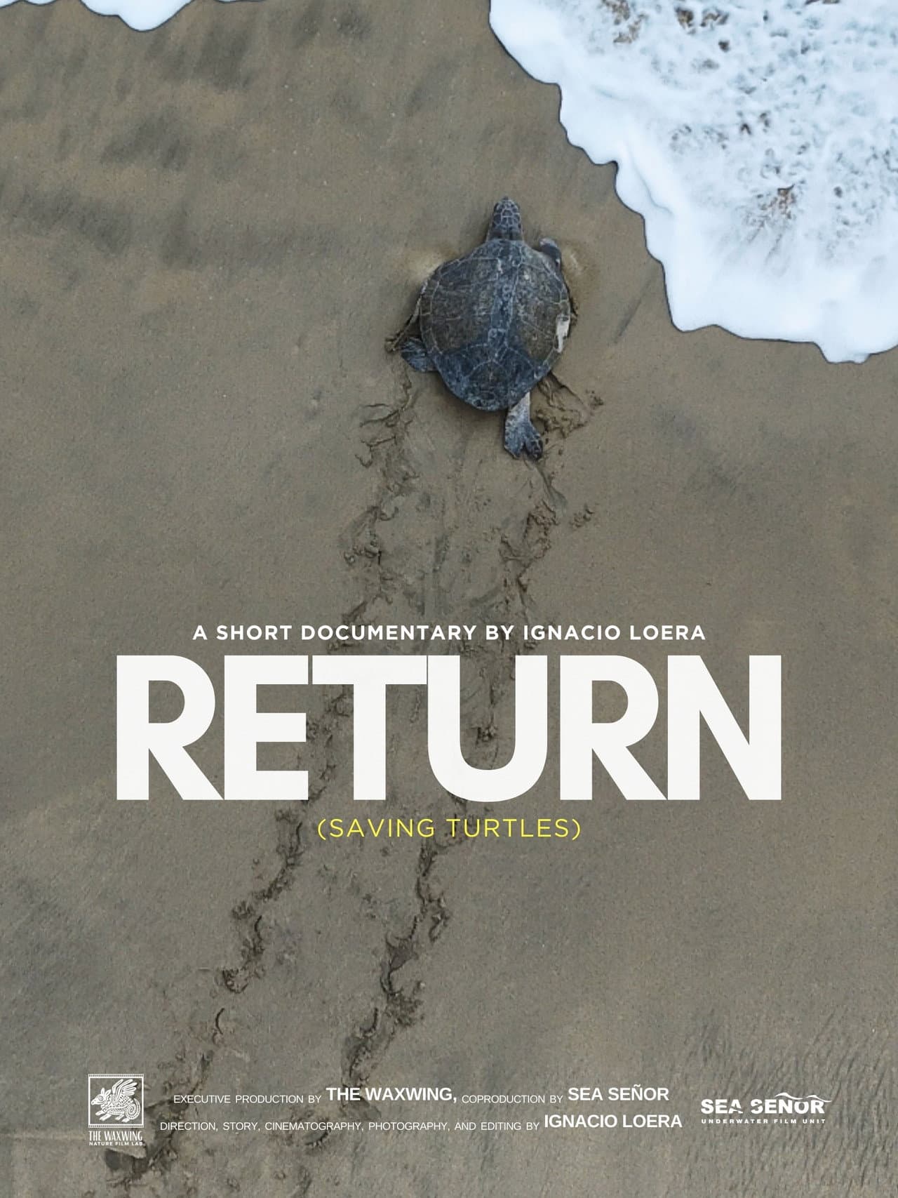 Return: Saving Turtles preview 2