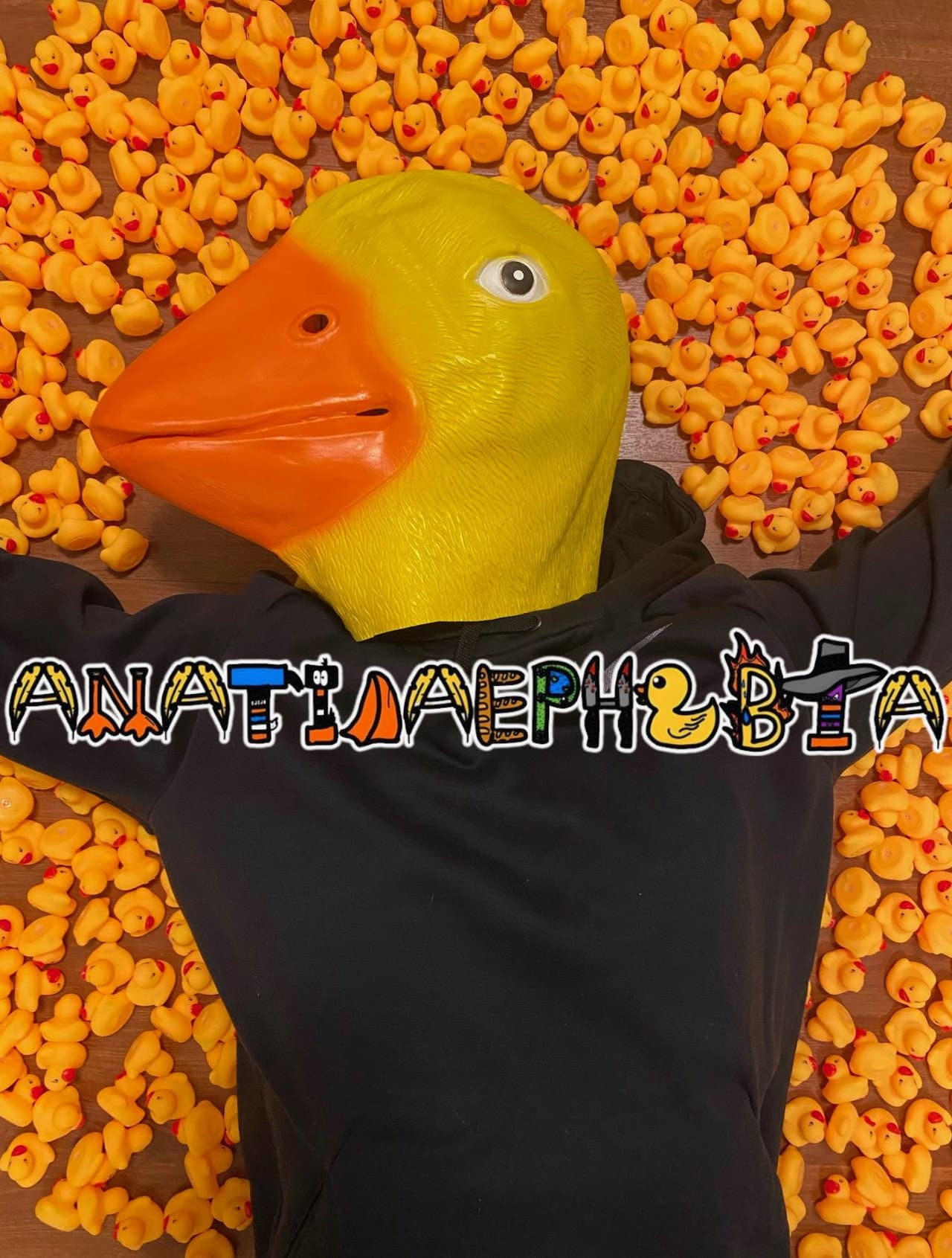 Anatidaephobia preview 1