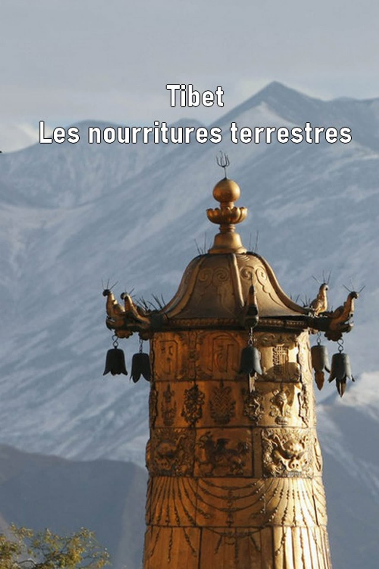Tibet - Les nourritures terrestres preview 2