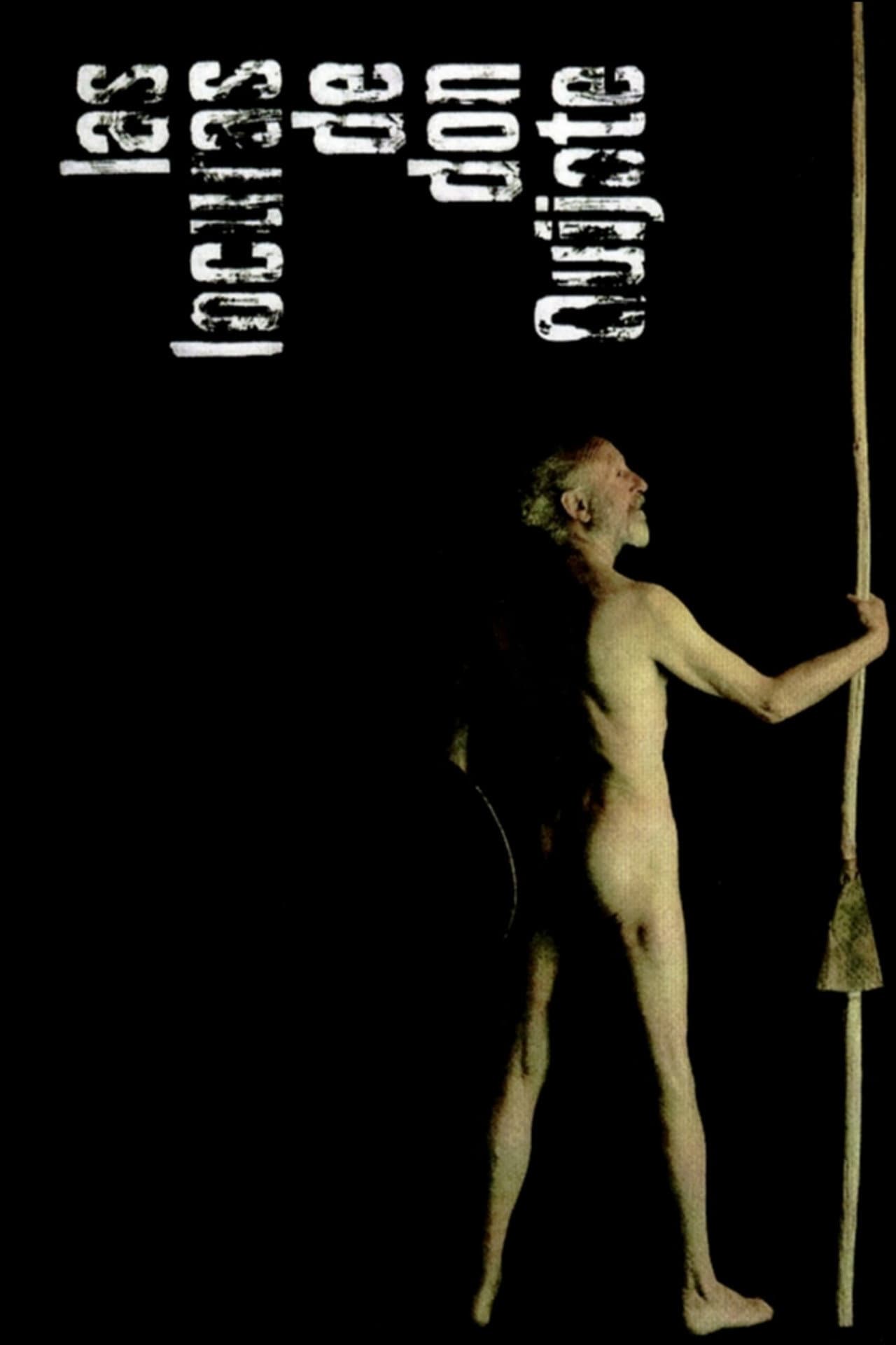 Las locuras de don Quijote preview 2