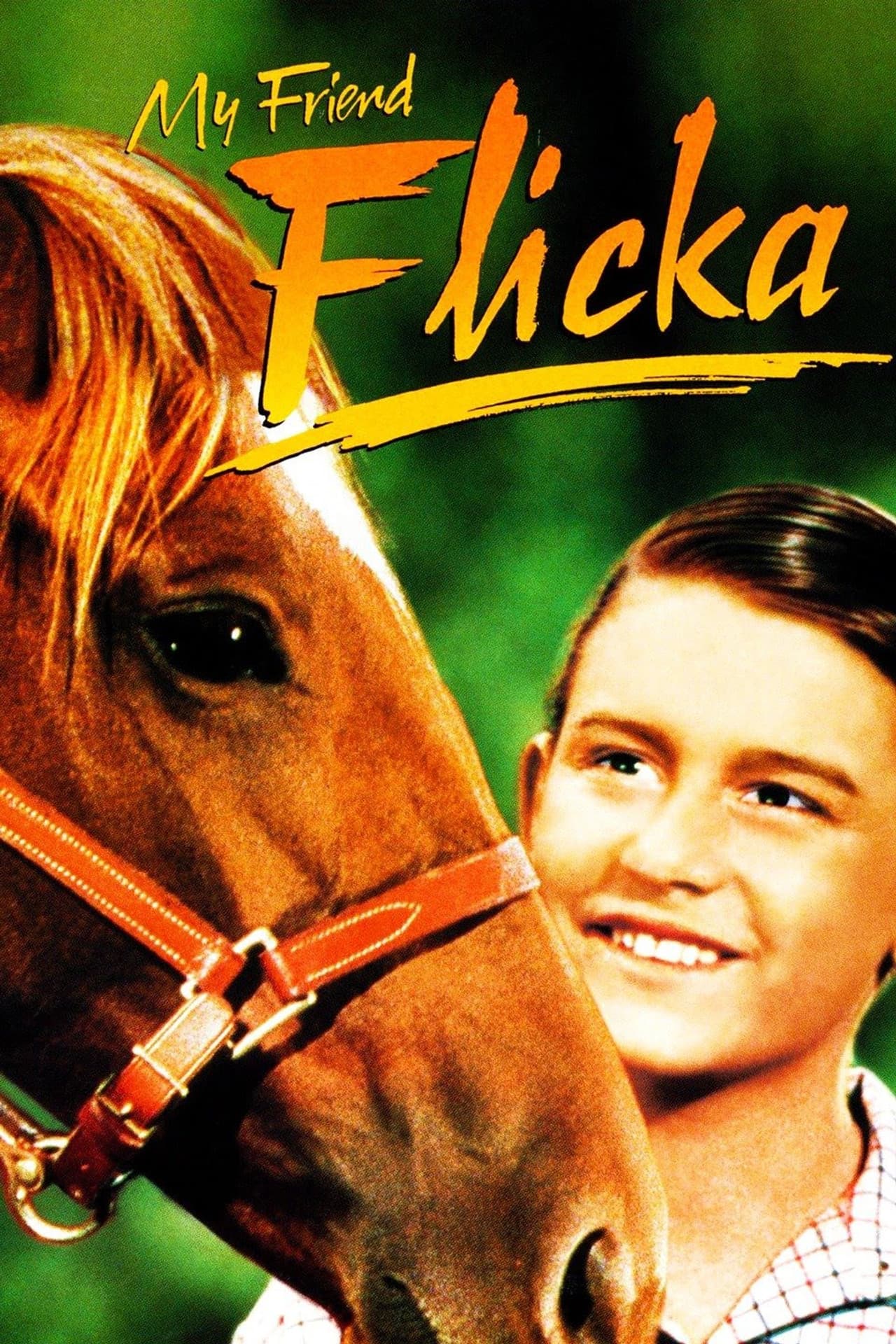My Friend Flicka preview 2