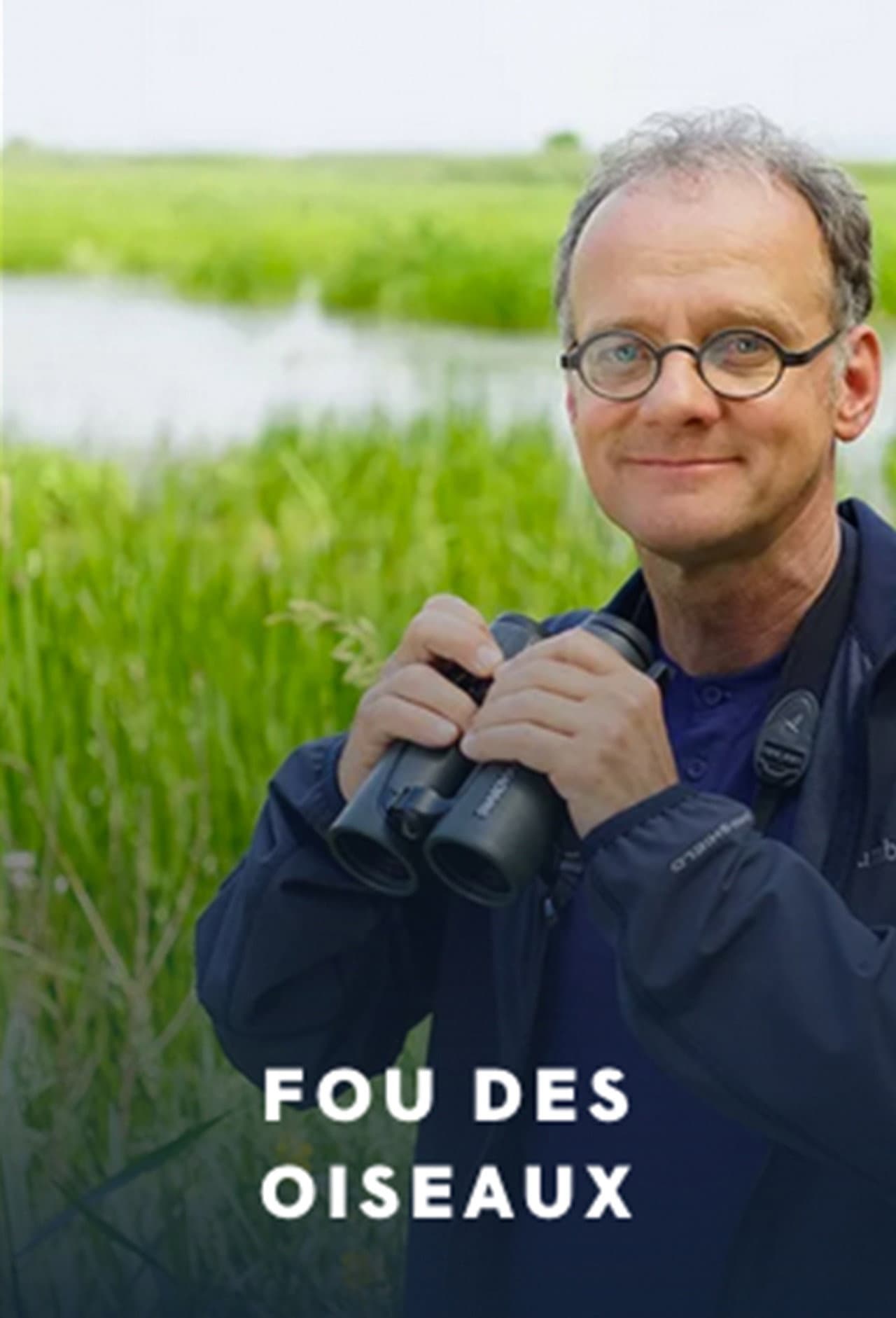 Fou des oiseaux preview 2