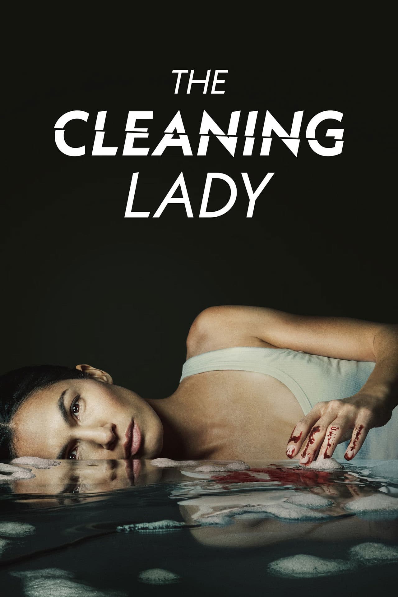 The Cleaning Lady preview 2
