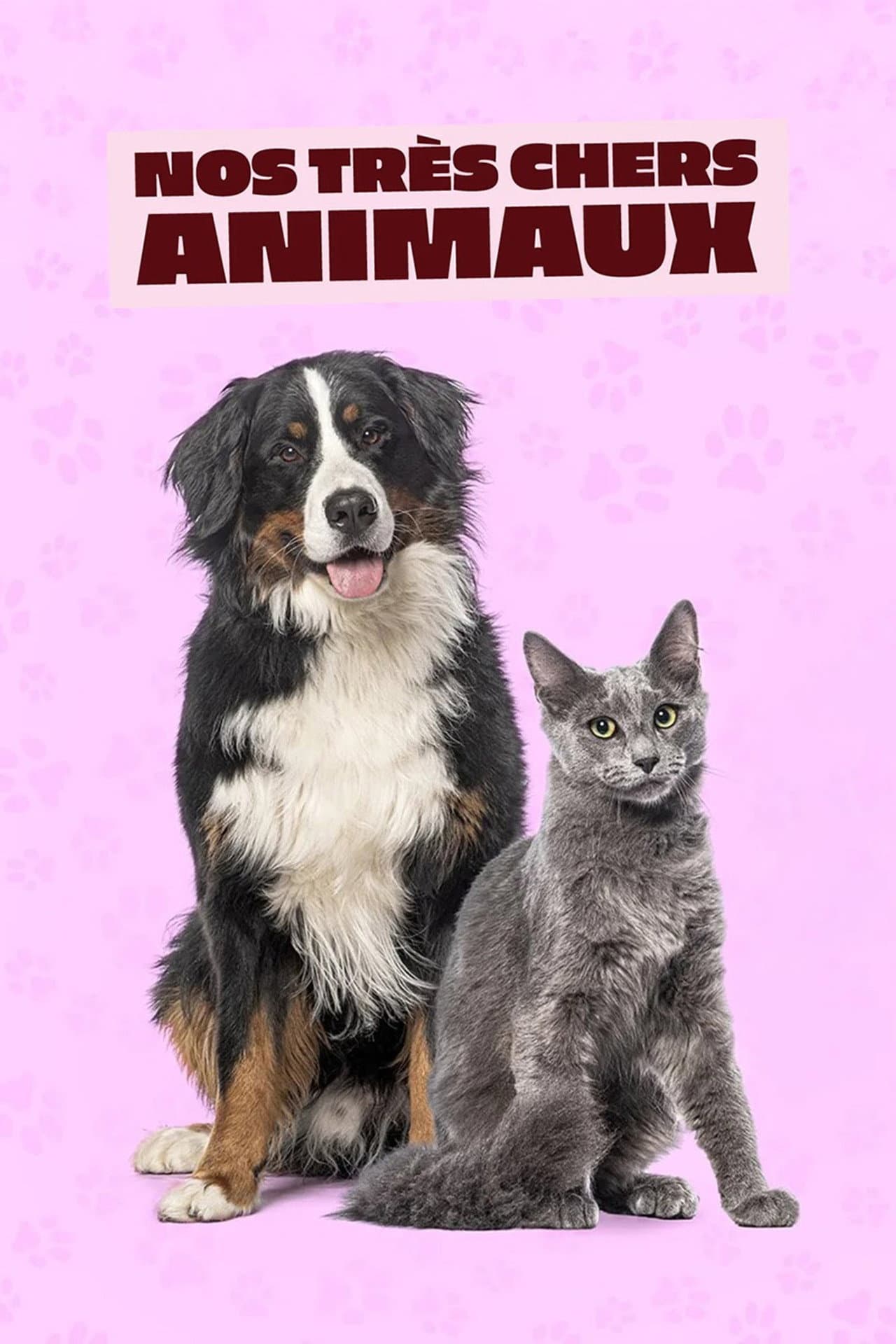 Nos très chers animaux preview 2