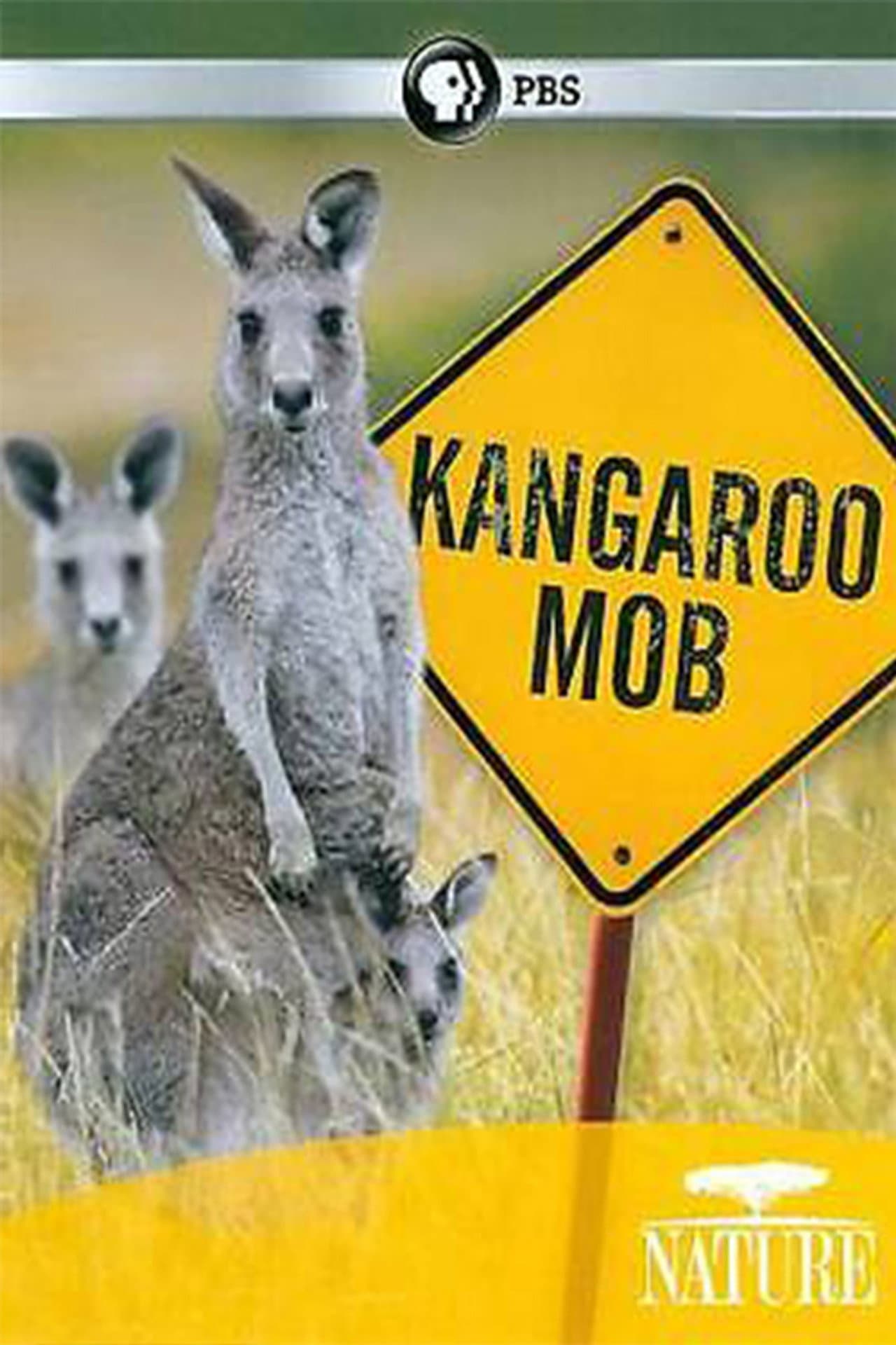 Kangaroo Mob preview 1