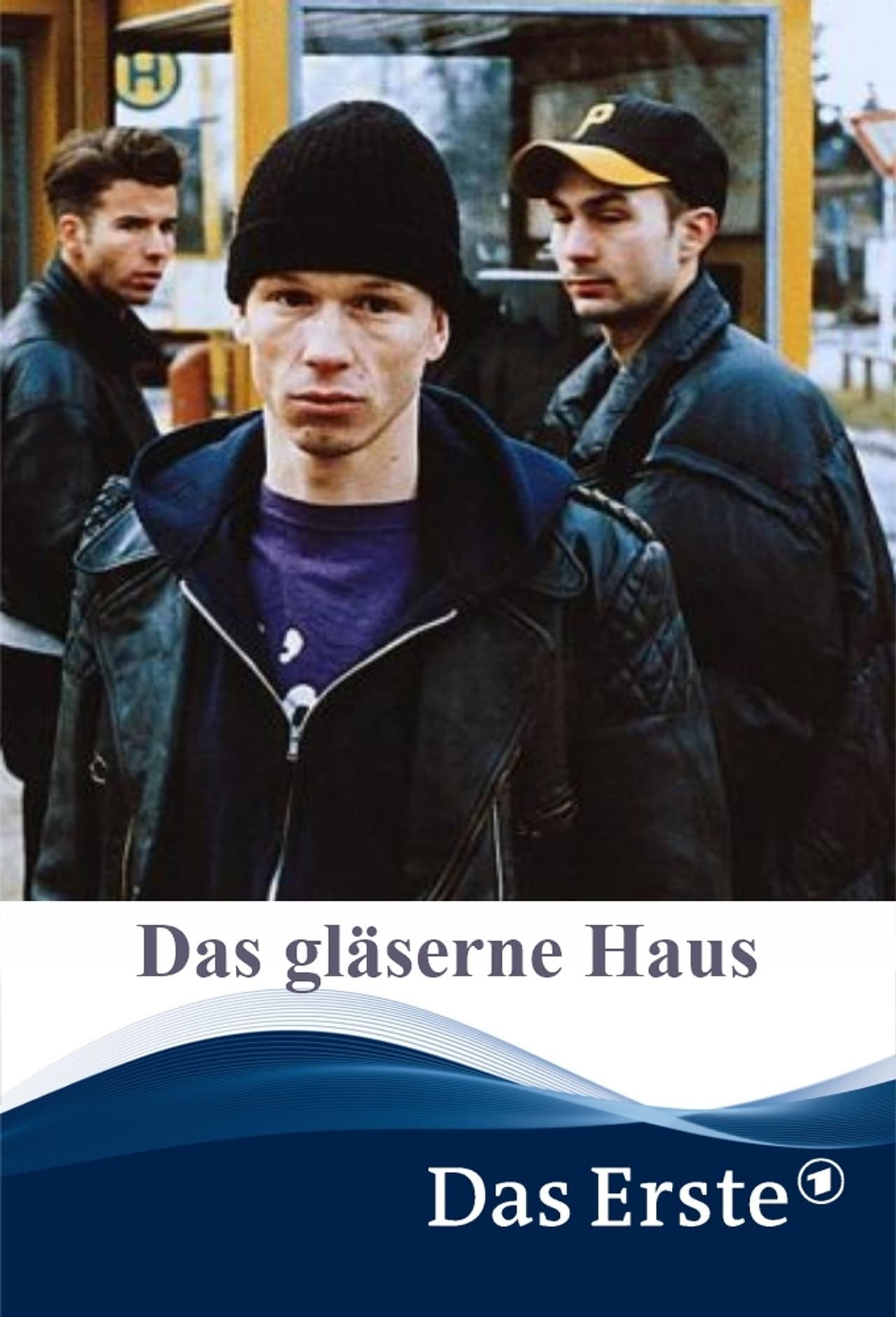 Das gläserne Haus preview 2