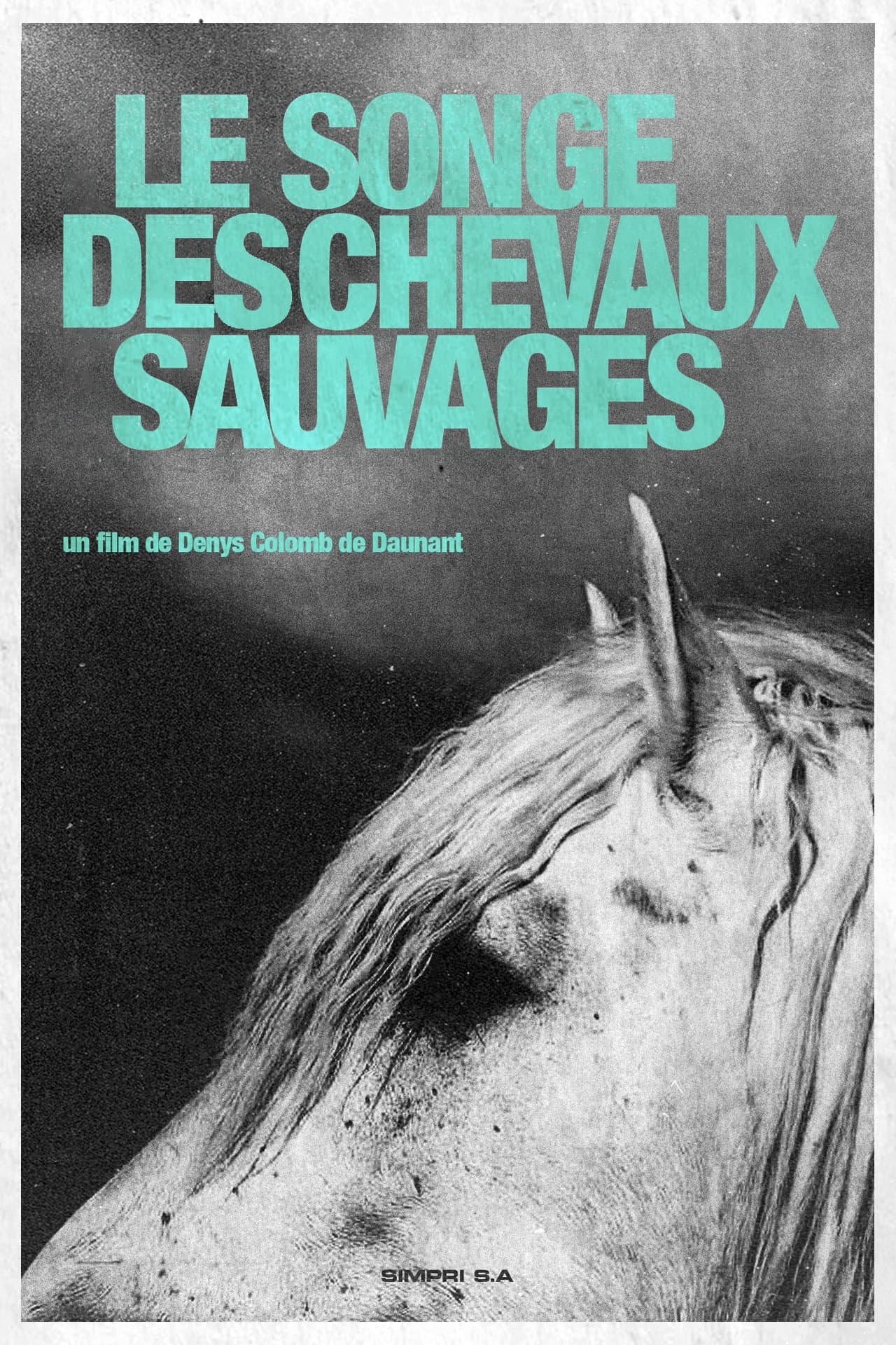 Dream of the Wild Horses preview 2