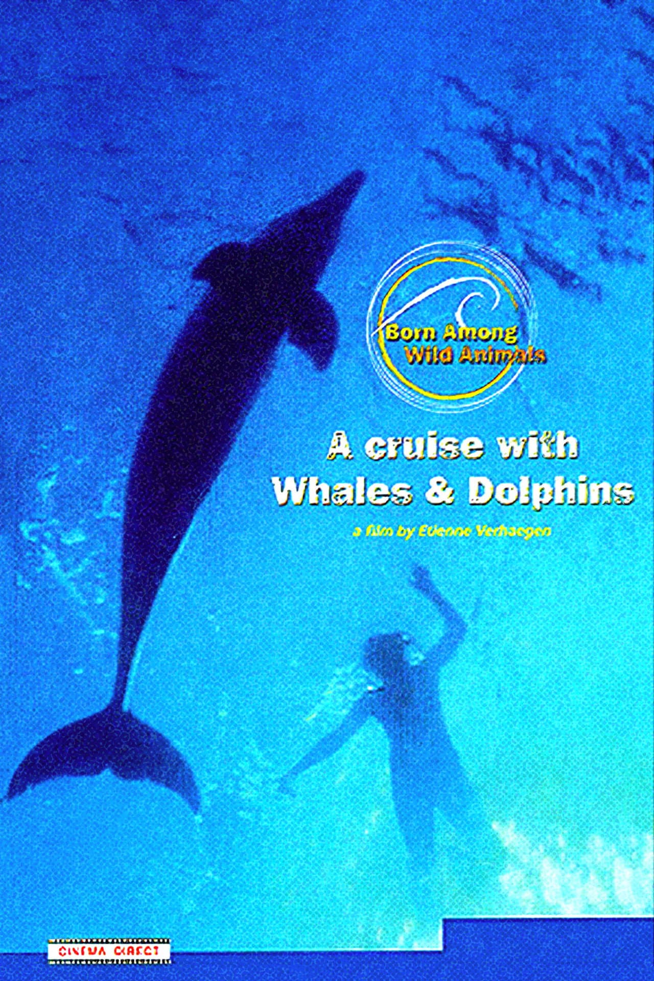 A Cruise with Whales and Dolphins preview 1
