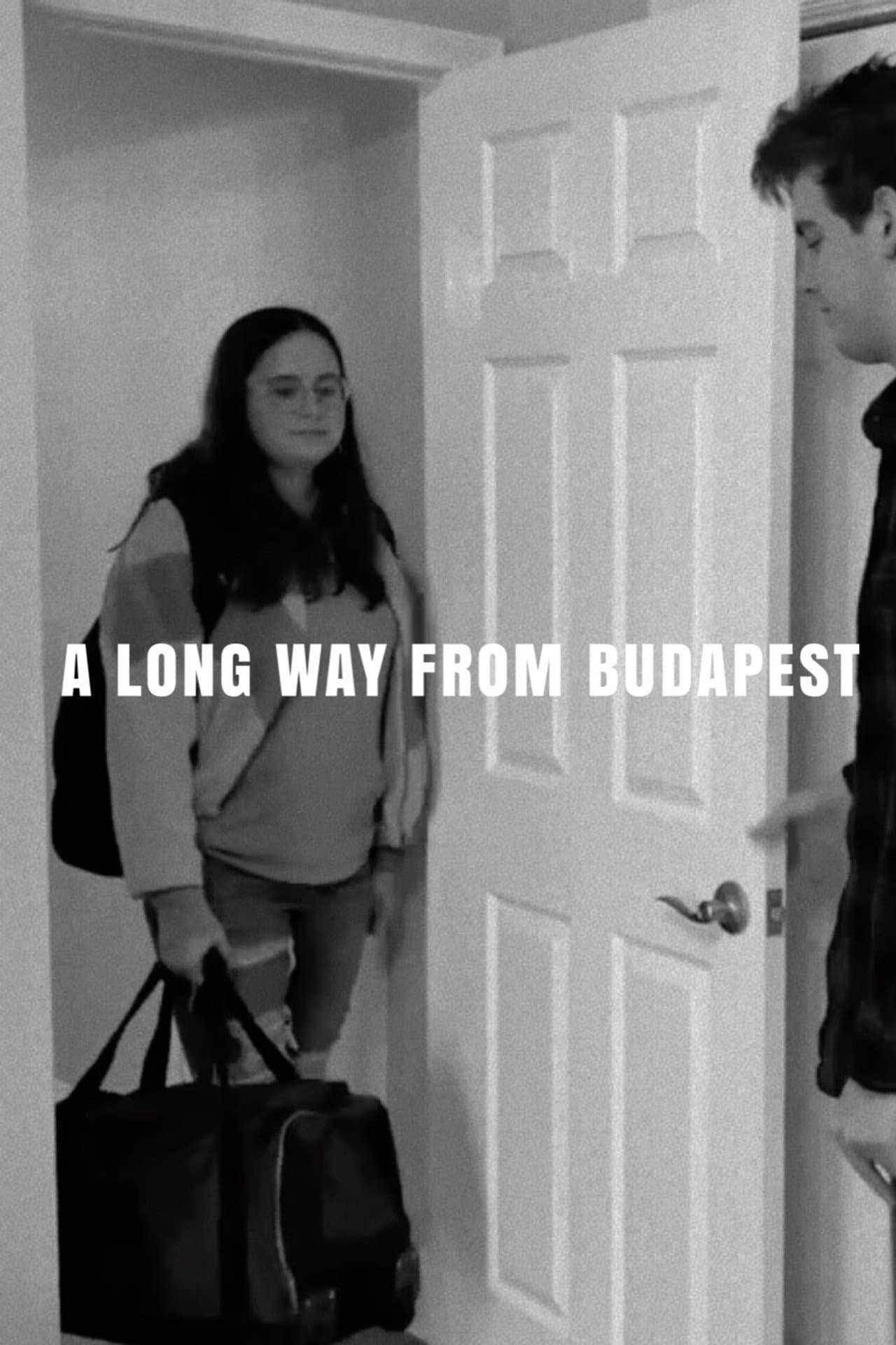 A Long Way from Budapest preview 2
